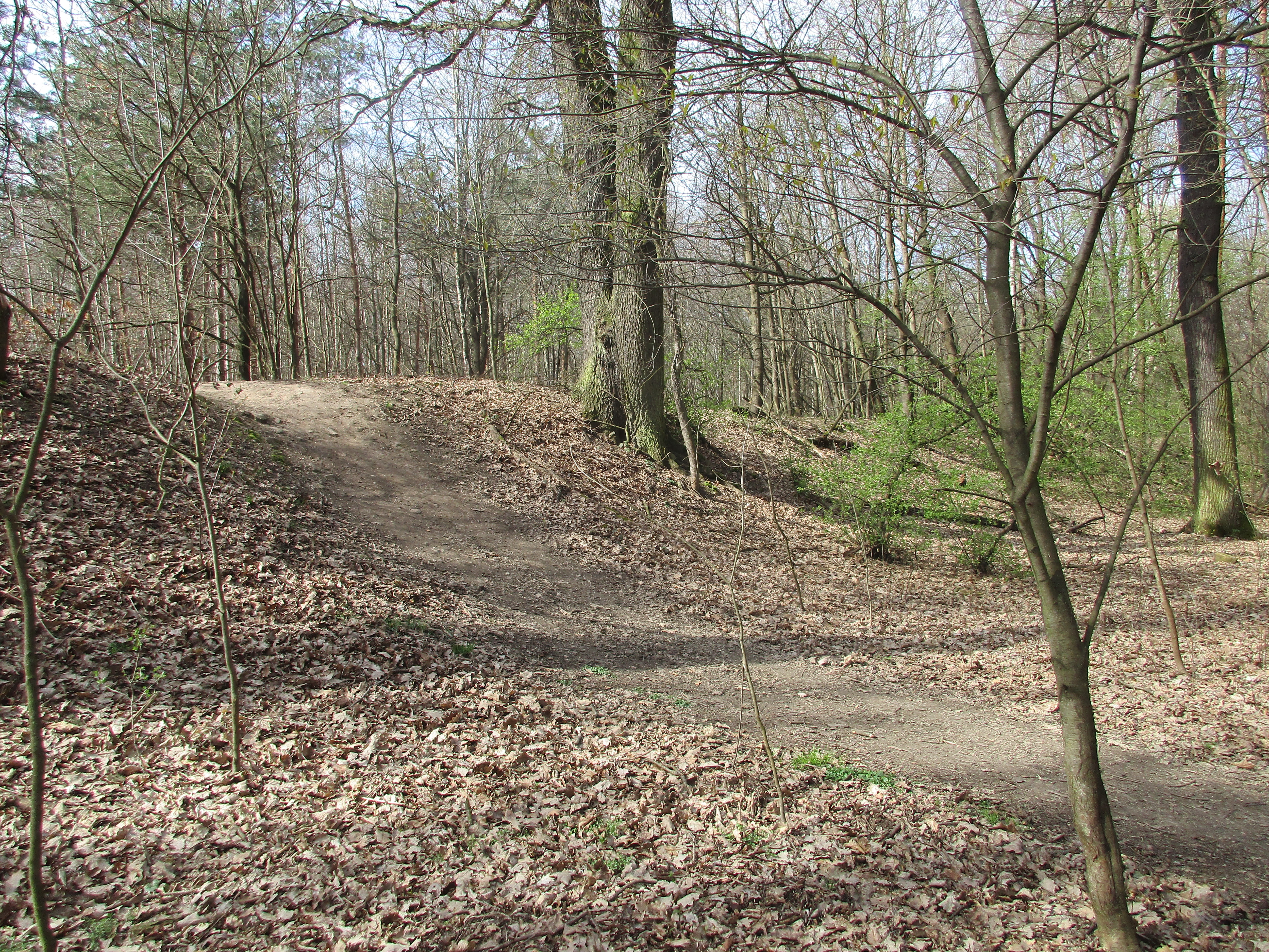 Hráz zaniklého Slavětického rybníka