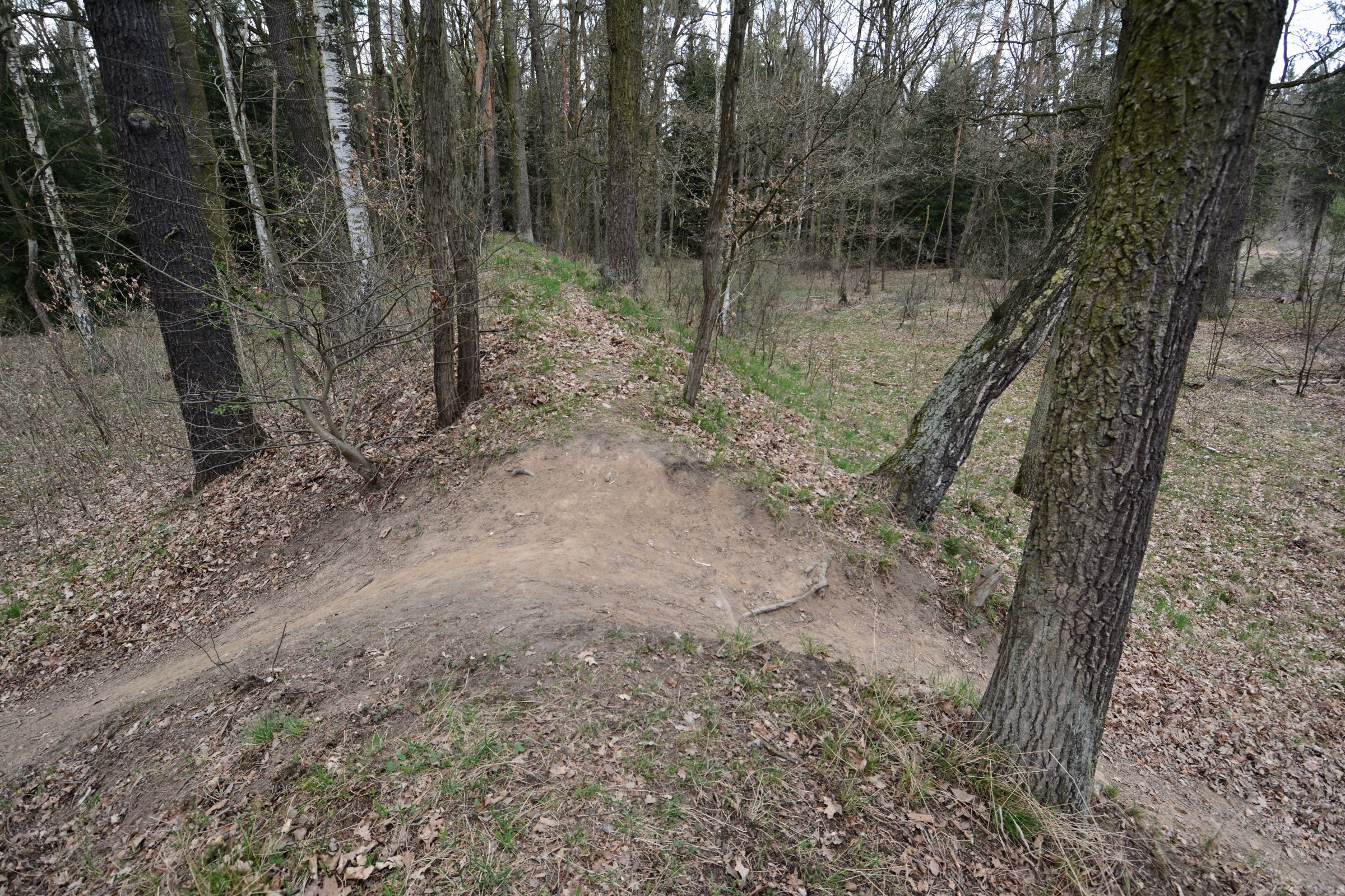 Hráz zaniklého rybníka Žák