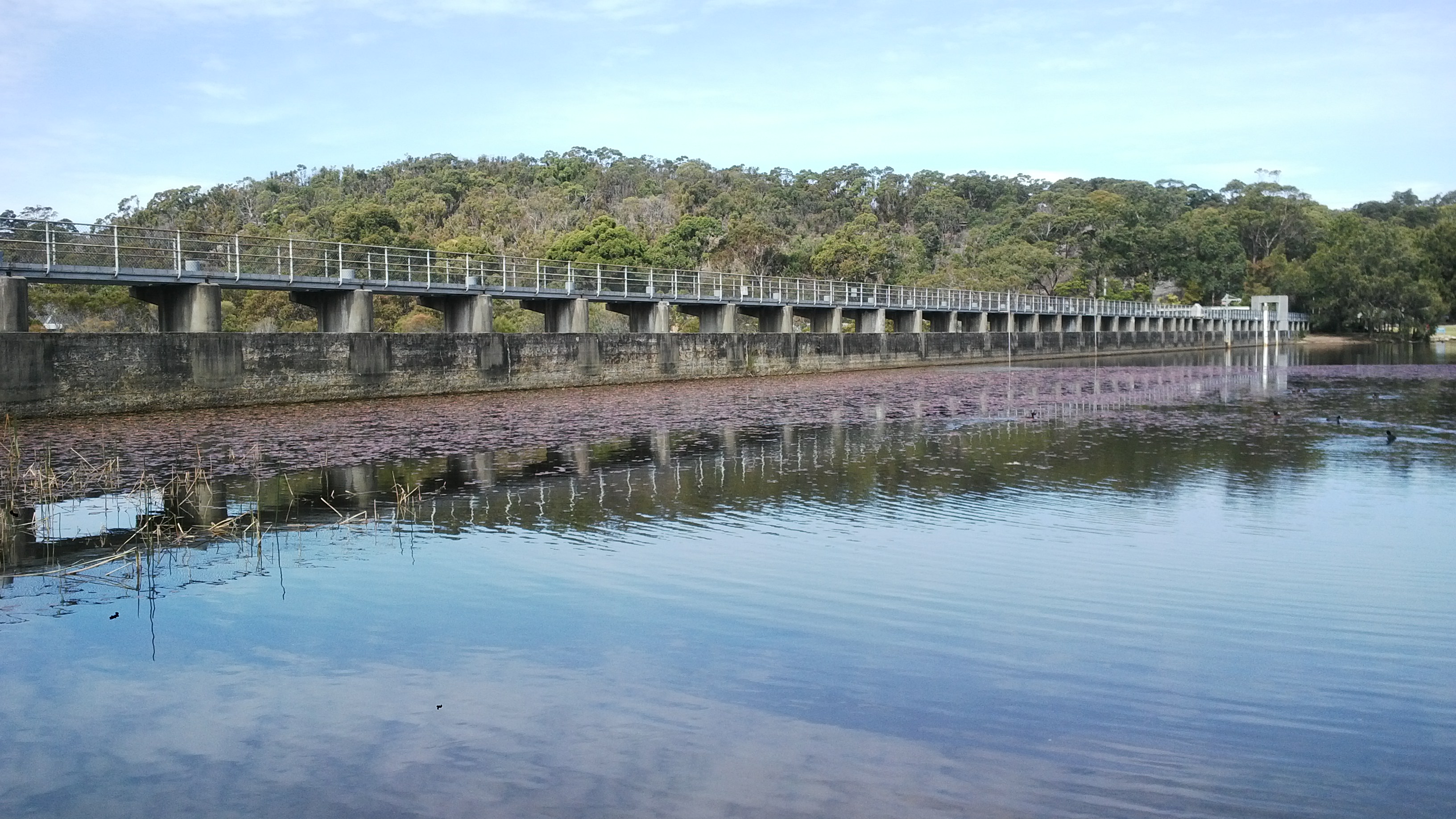Manly Dam