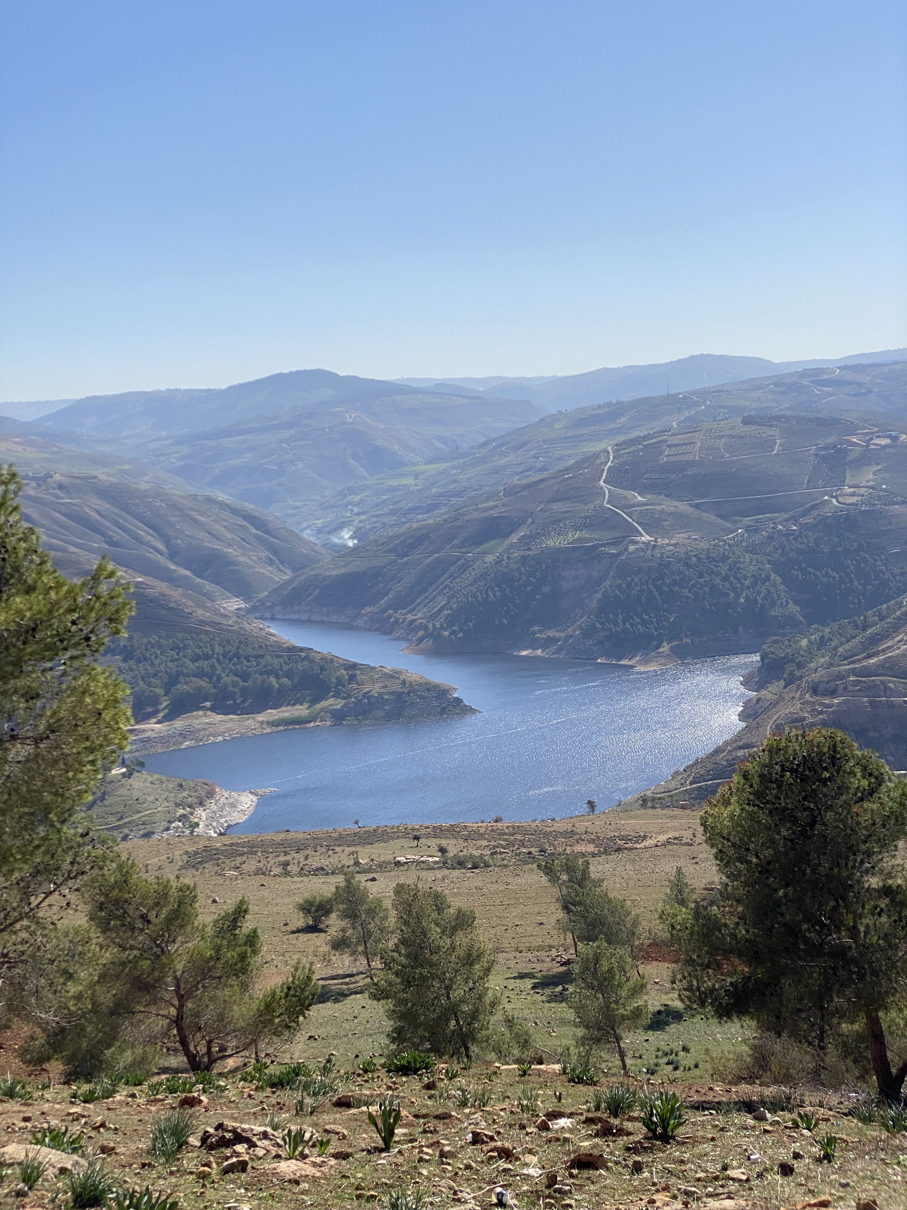 سد الملك طلال