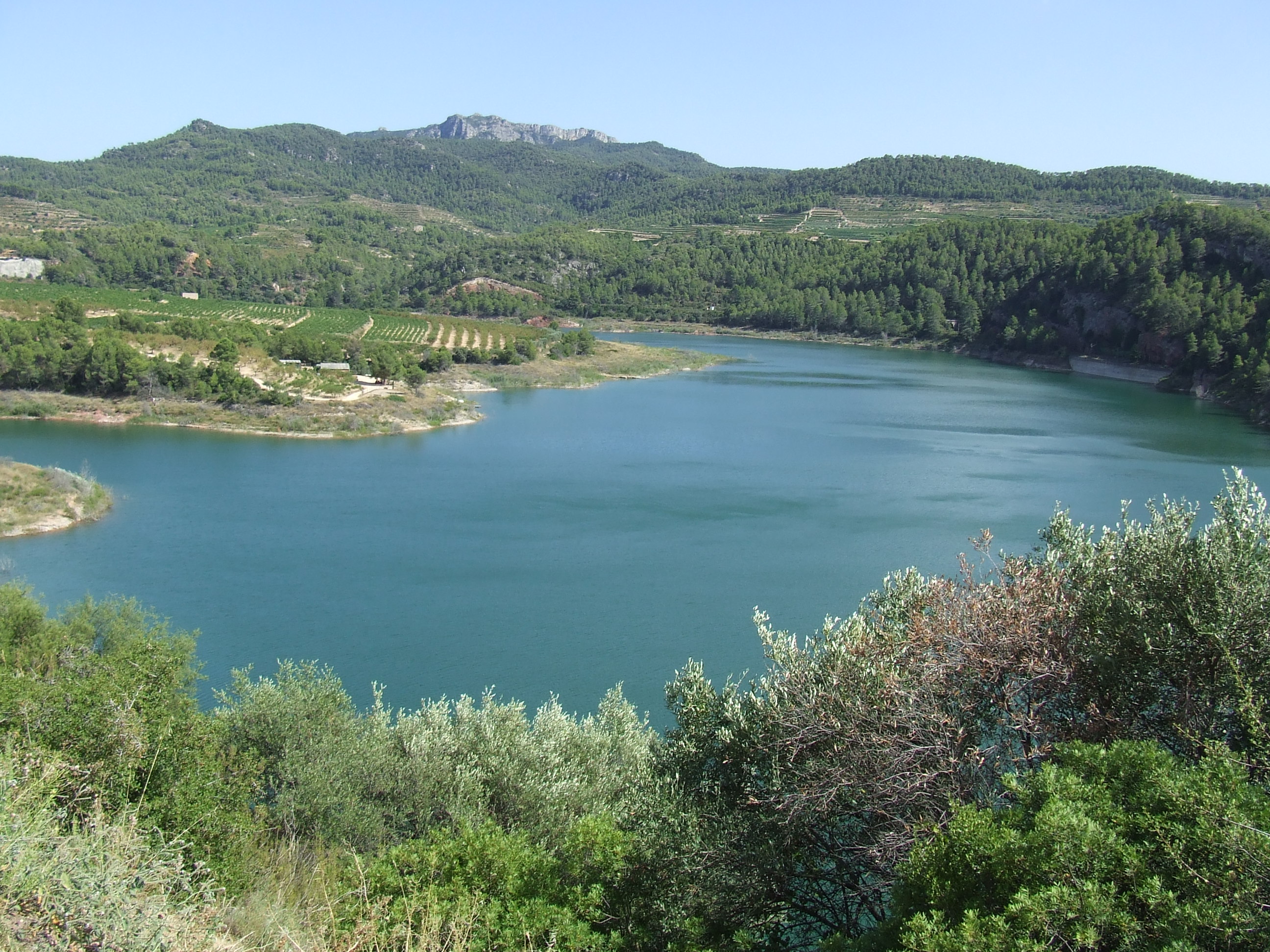 Presa del Pantà dels Guiamets
