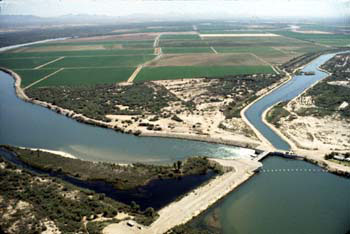 Palo Verde Dam