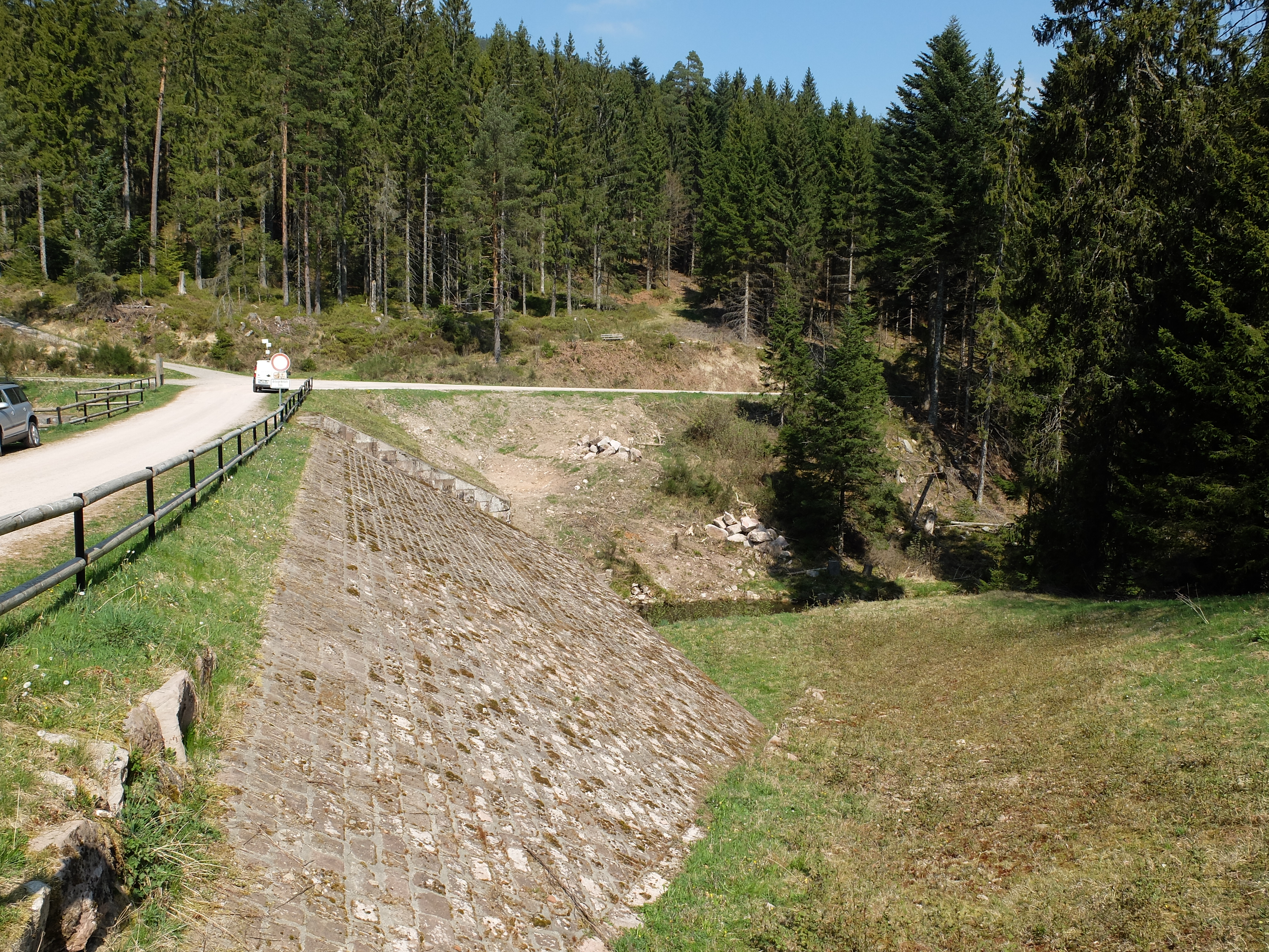Herrenwieser Schwallung