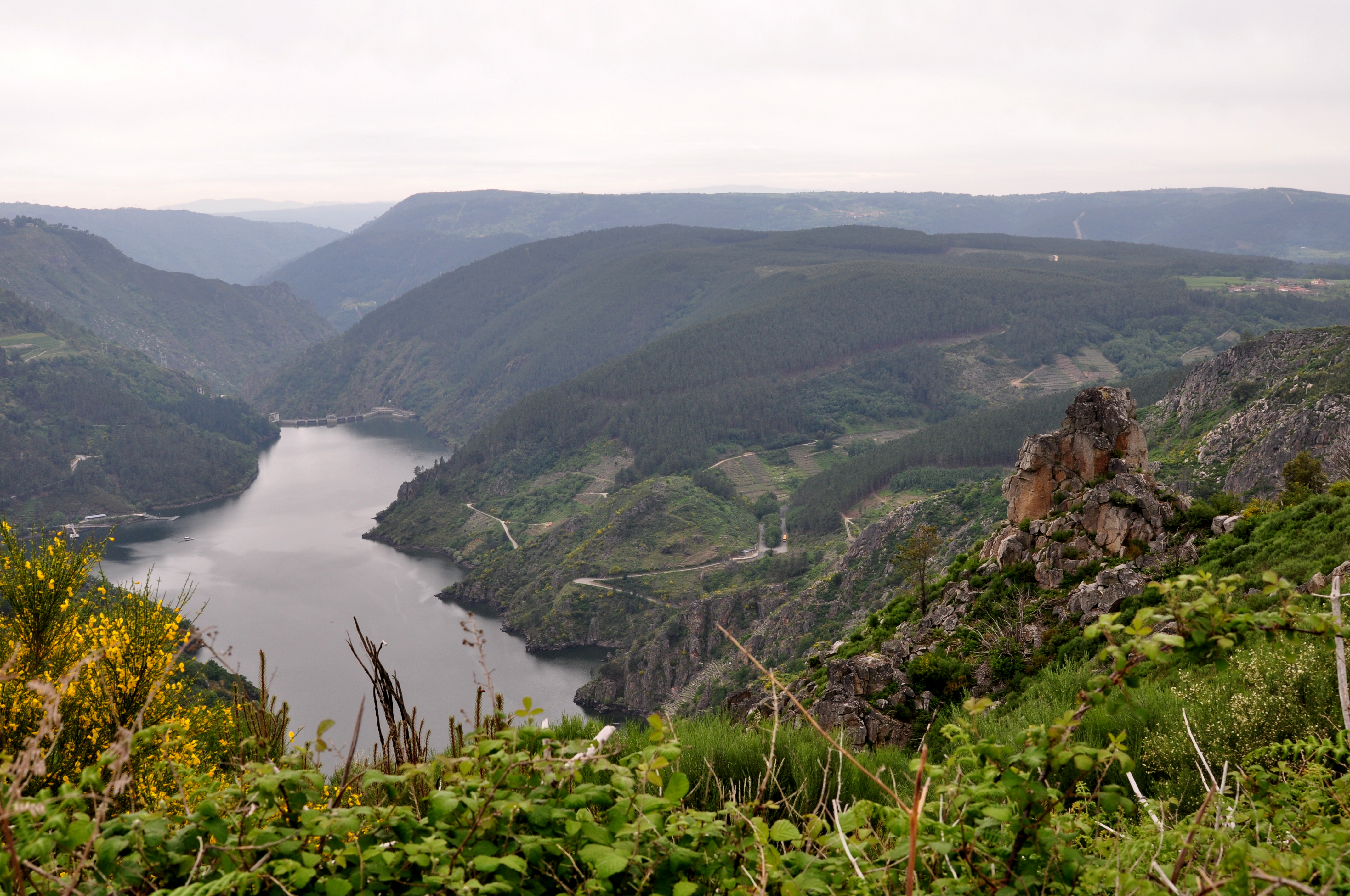 Encoro de Santo Estevo