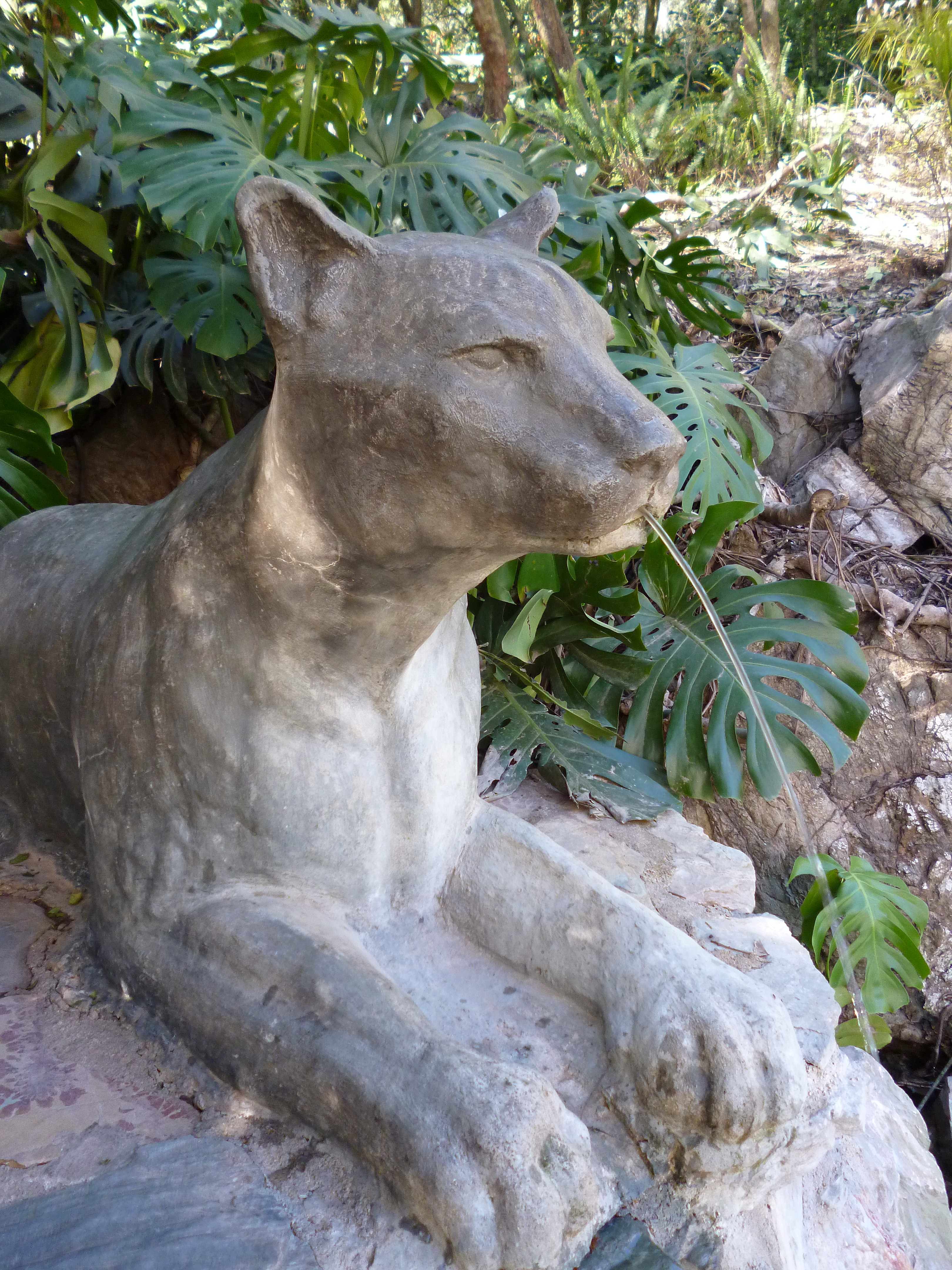 Fuente del Puma