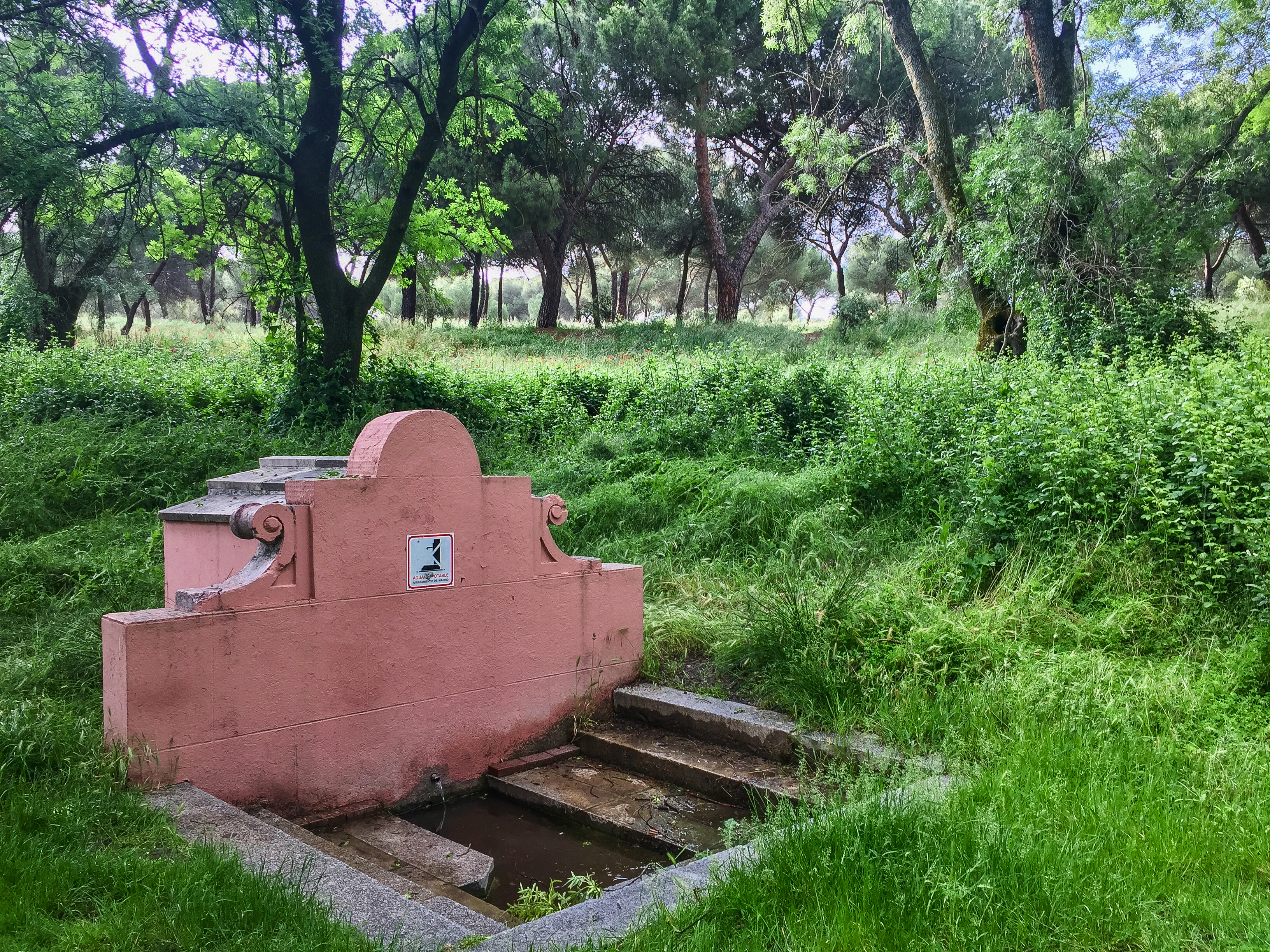 Fuente del Zarzón de Cádiz