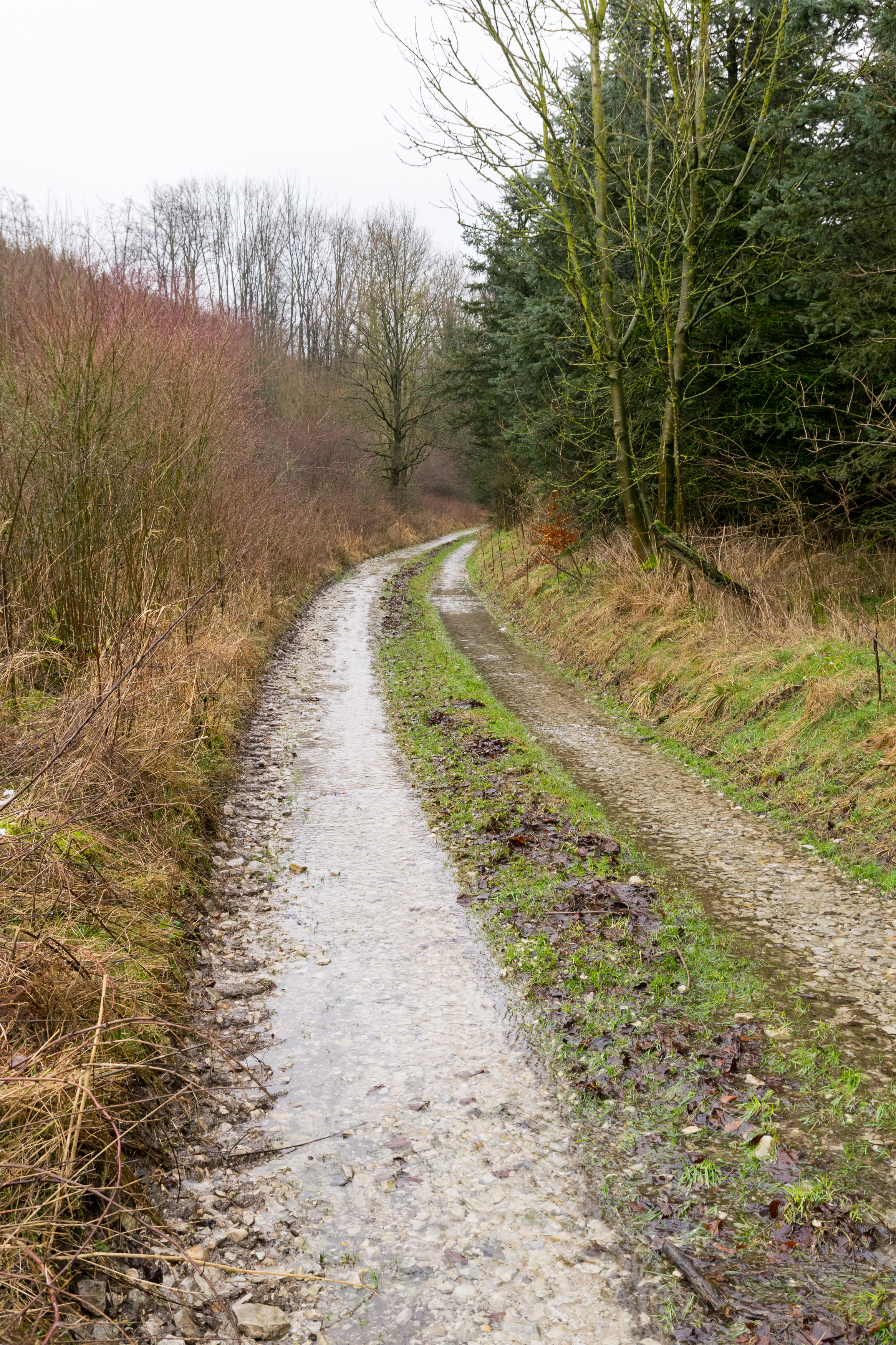 Steinbeke (Nebenquelle)