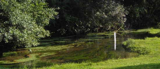 Source de l'Orbiquet