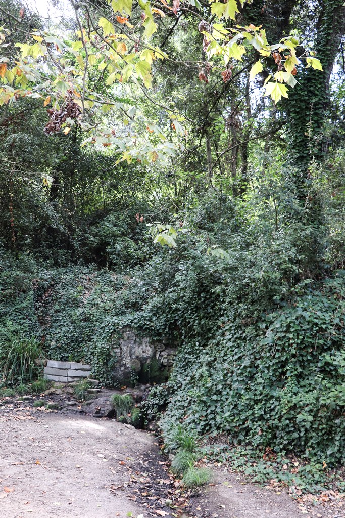 Font de Sant Bartomeu