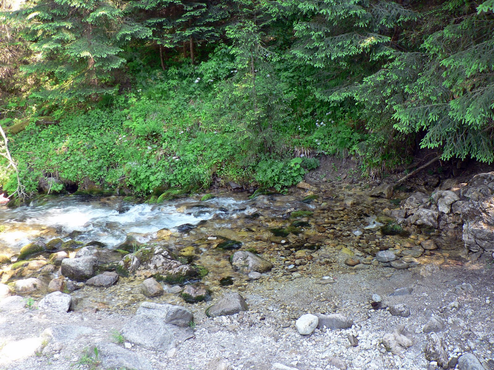 Olczyskie Wywierzysko