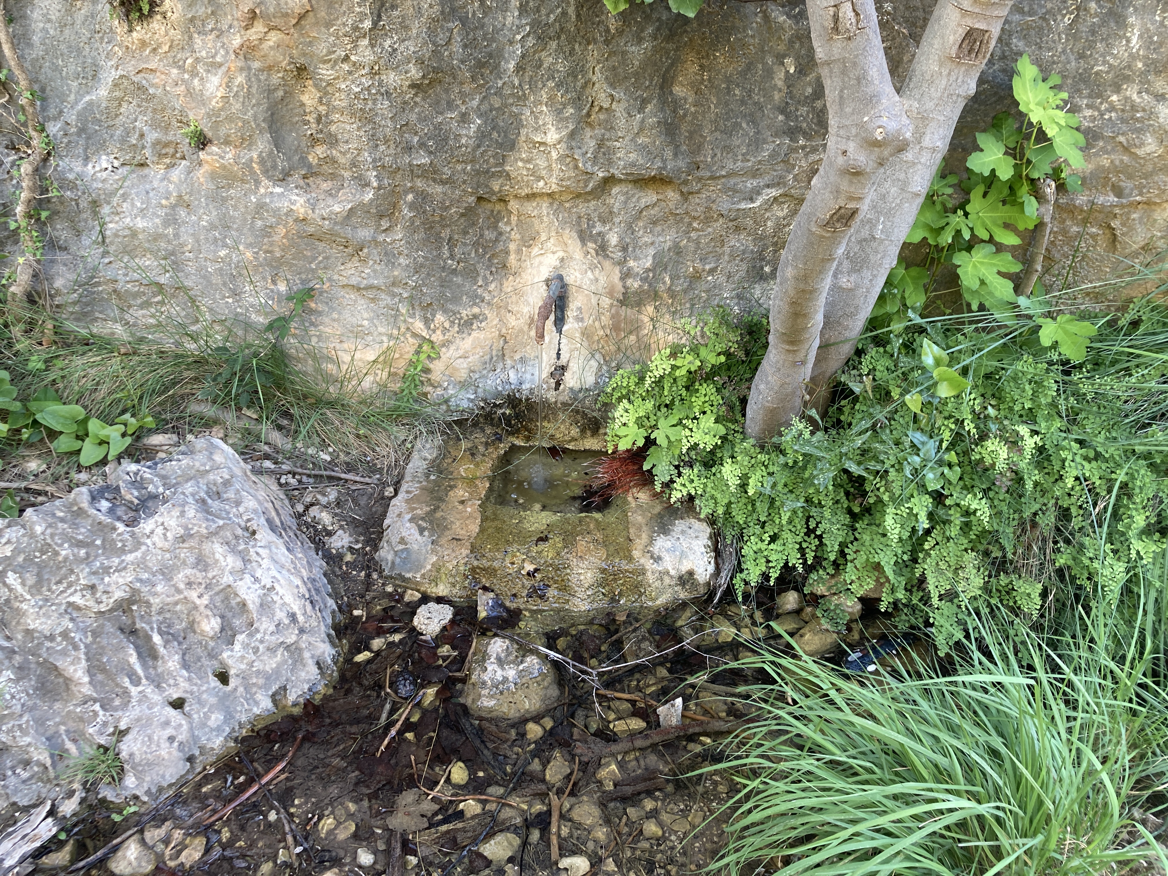 Font de les Galeries