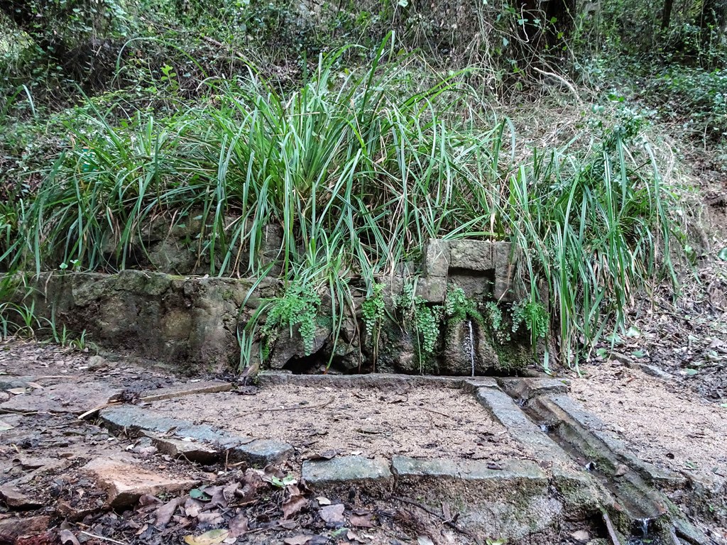 Font dels Àlbers d'en Javà