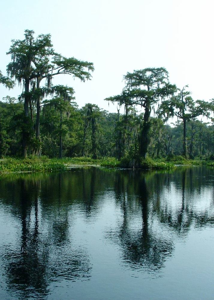 Wakulla Spring