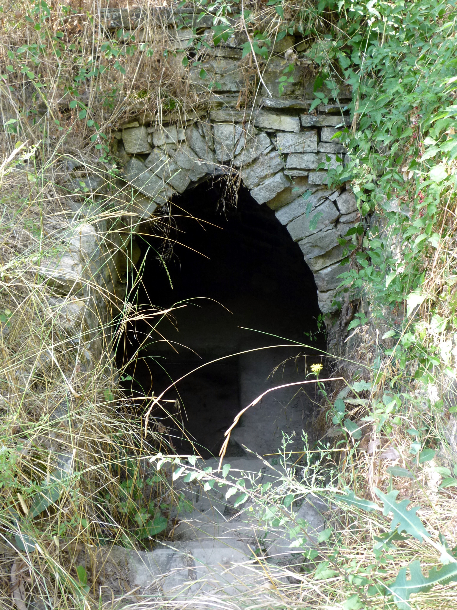 Font de les Branques