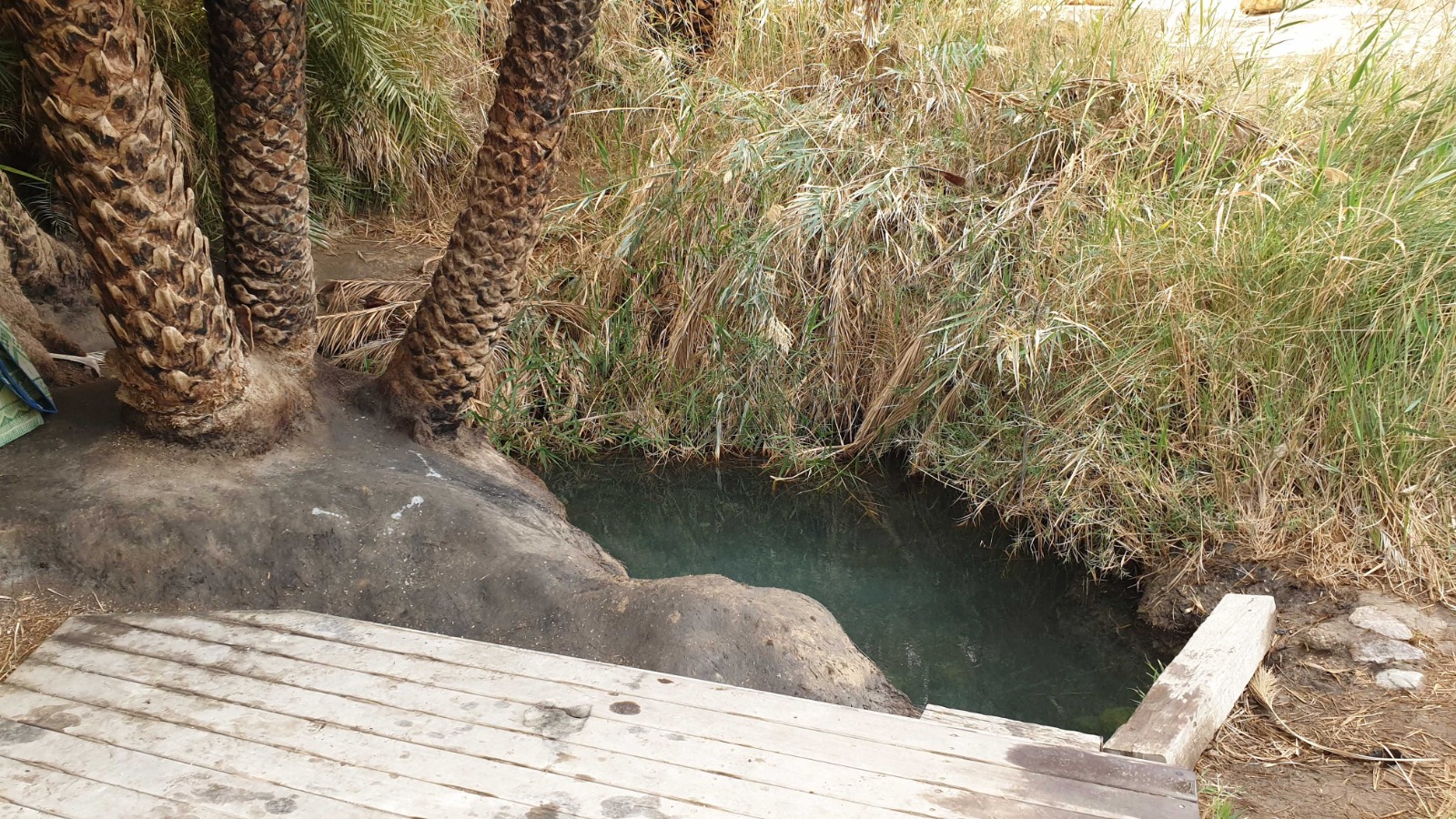 עין פלוטית - המעיין הנסתר