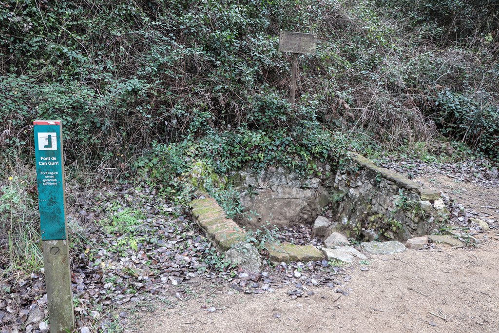 Font de Can Gurri