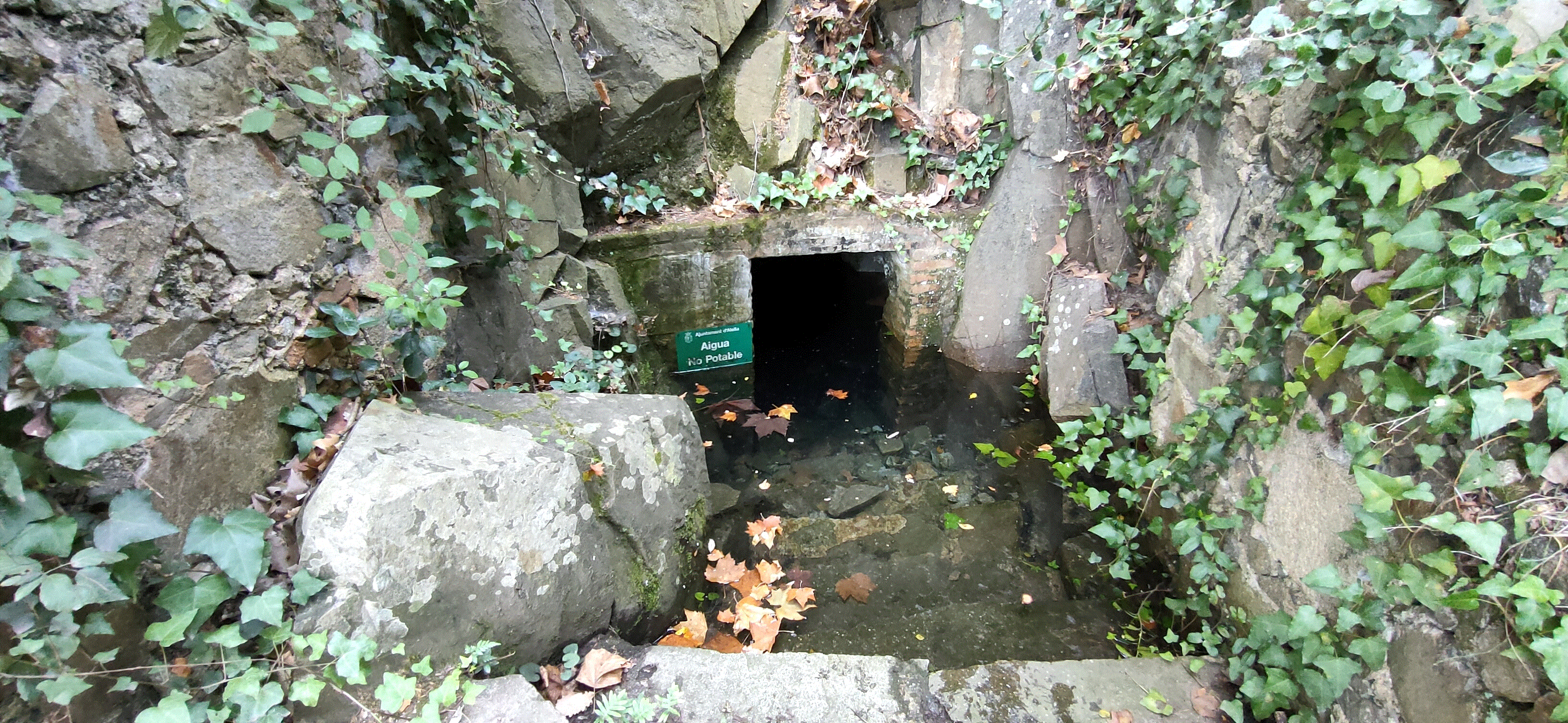 Font de l'Esquerda
