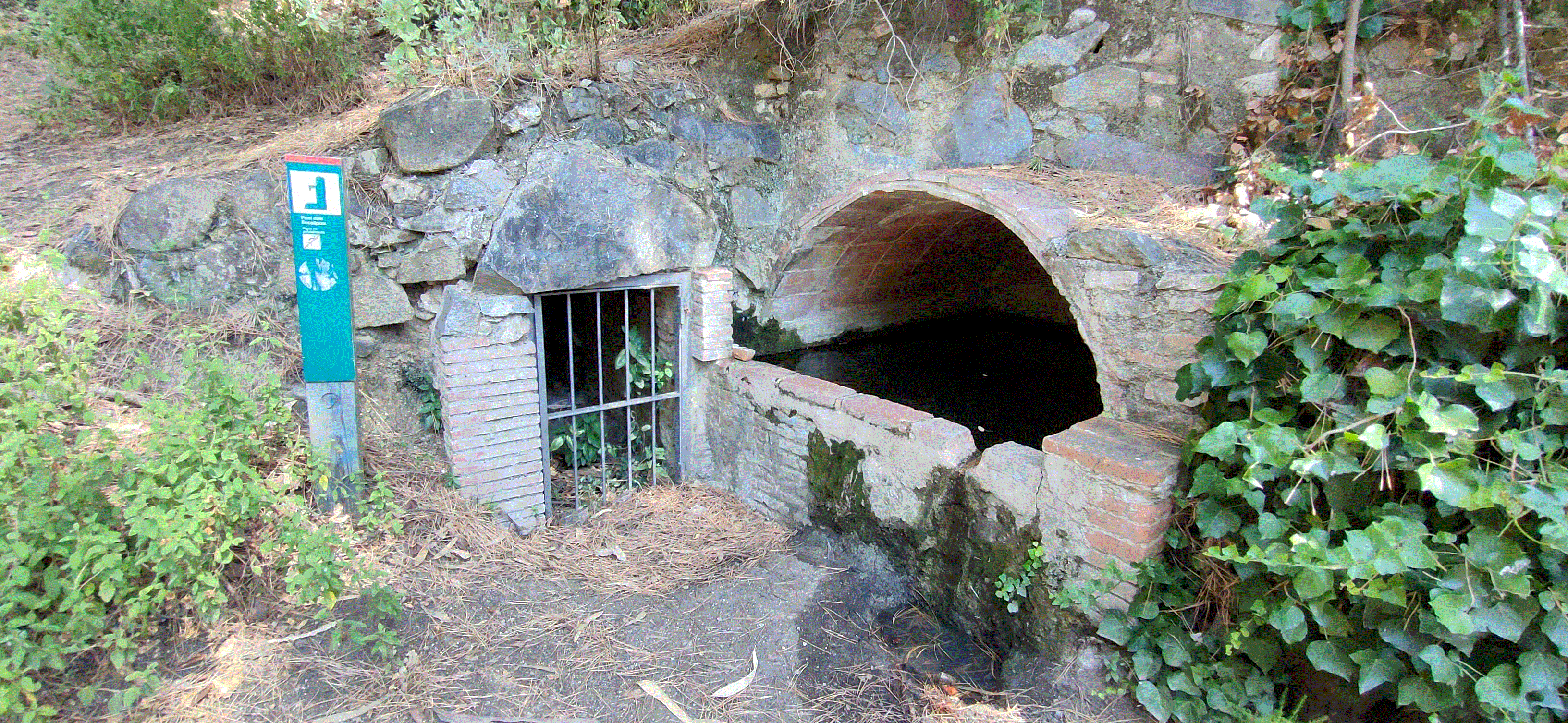 Font dels Eucaliptus