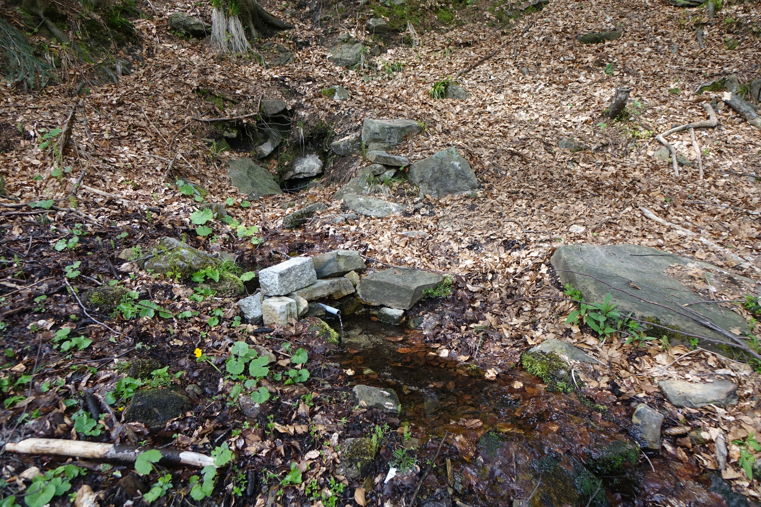 Źródło Zimna Woda