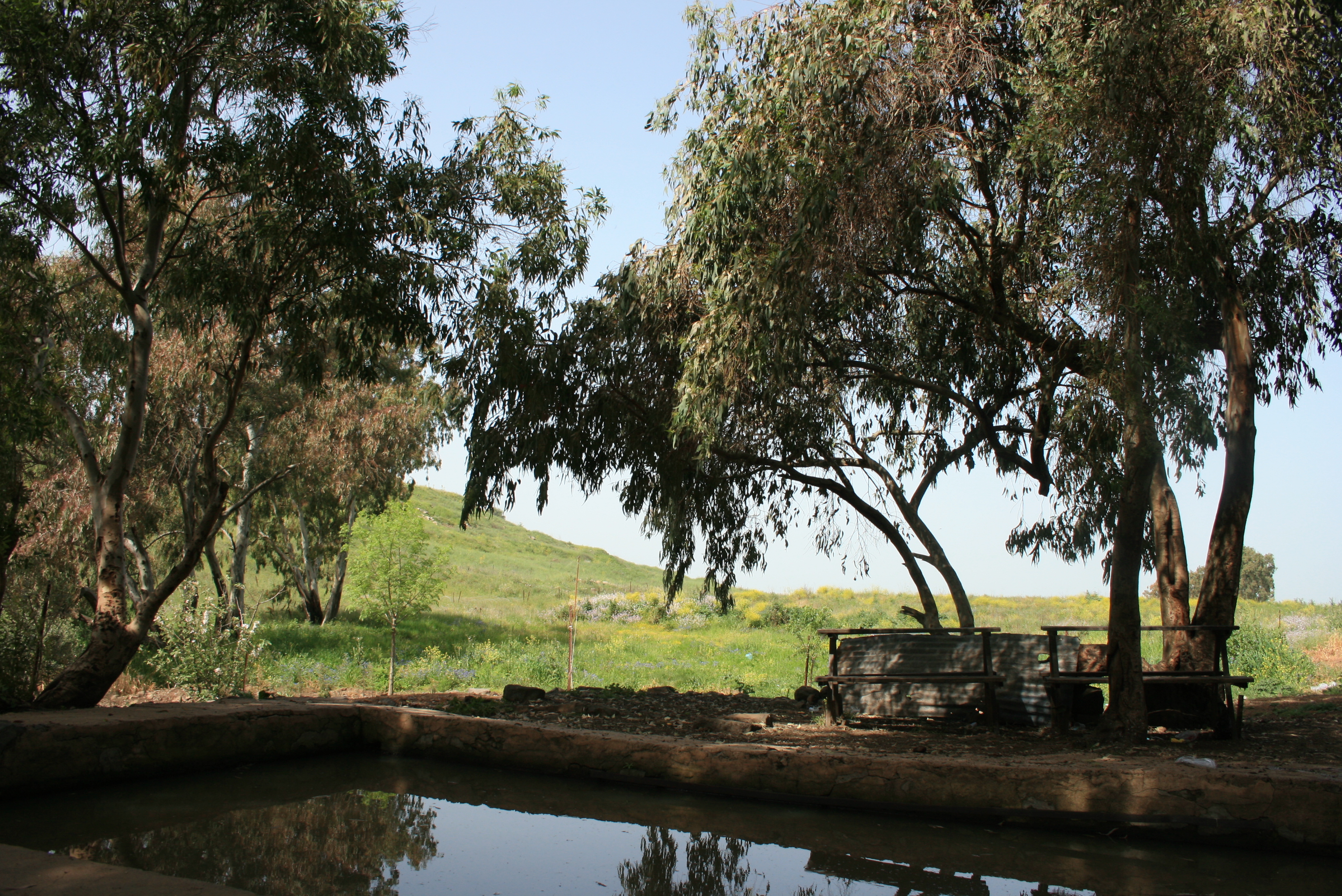 בריכת אורחה (ג'וחדר)