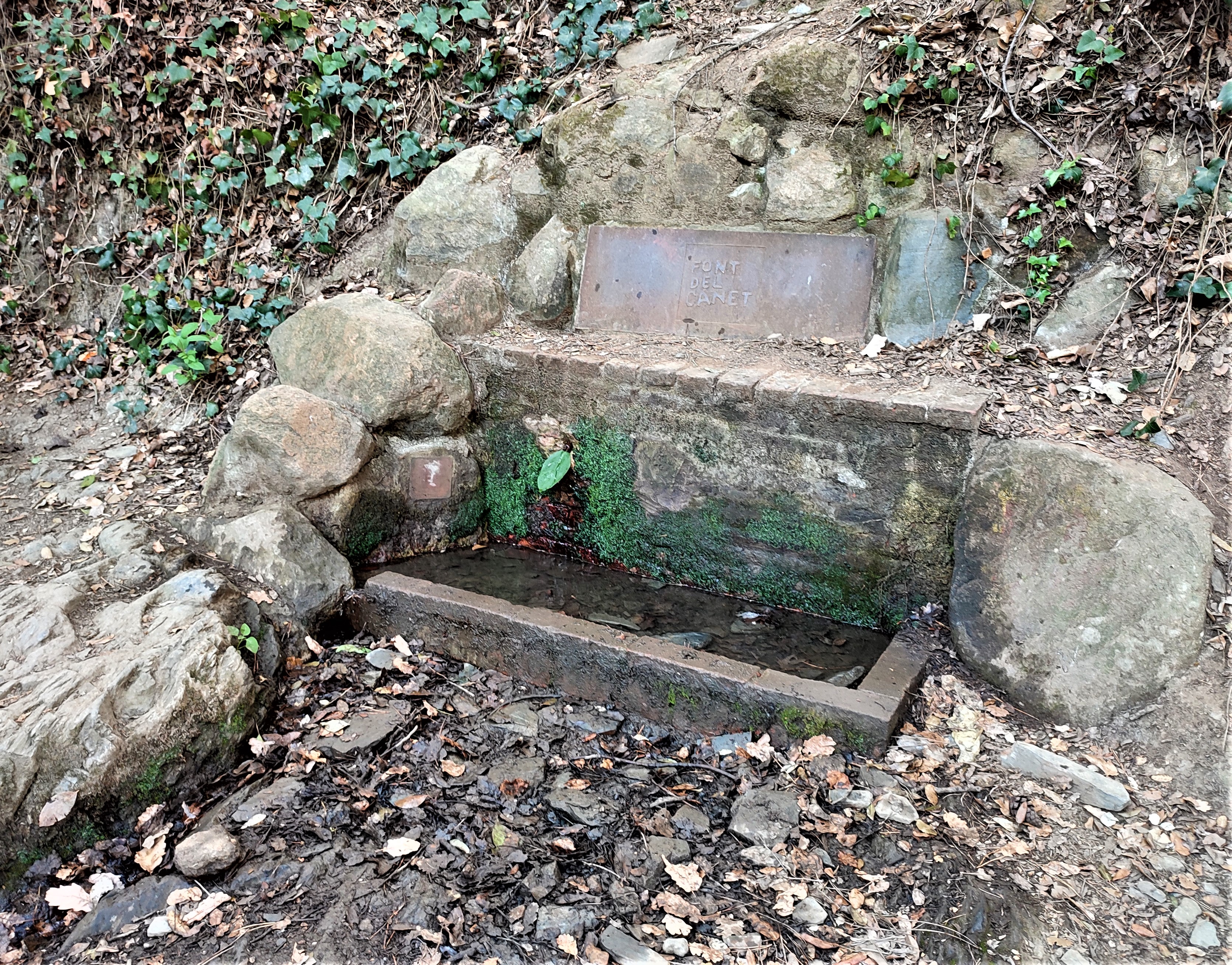 Font del Canet