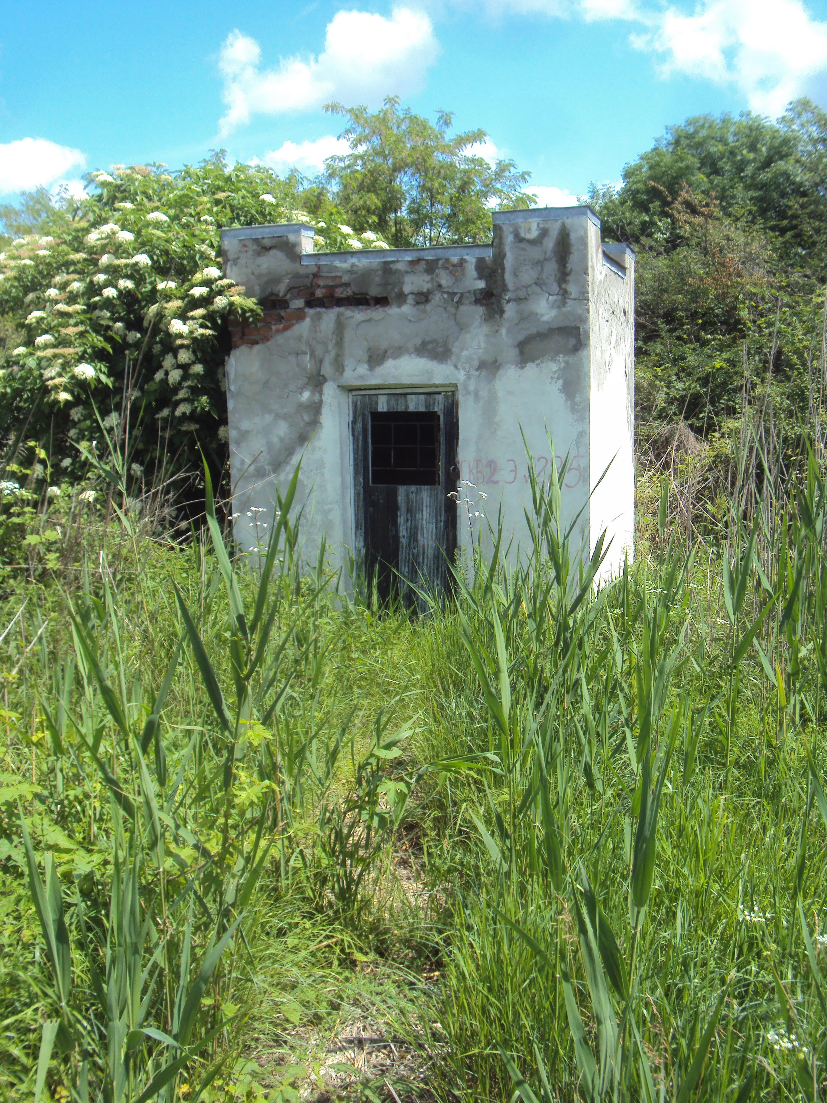 Баталинский источник