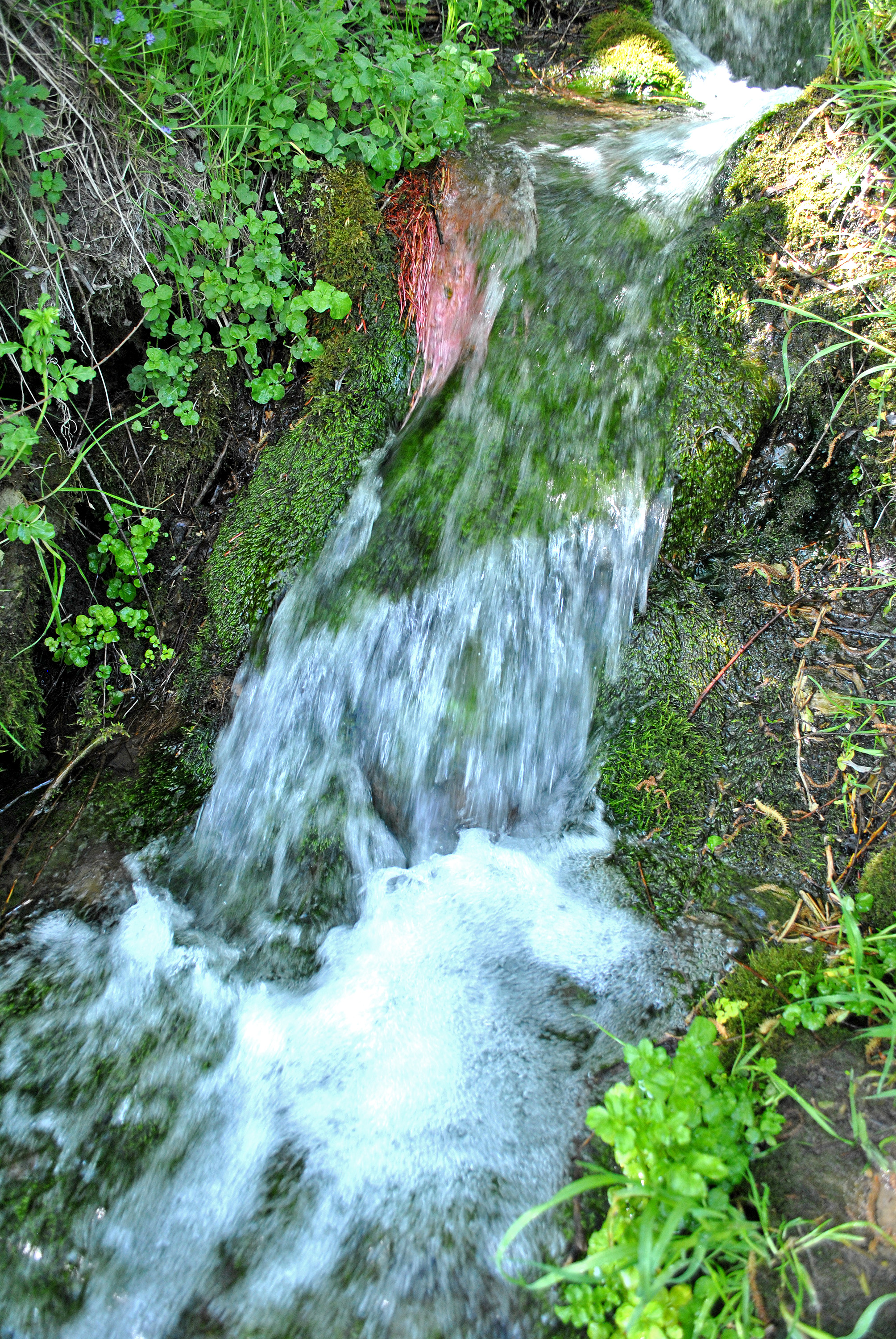Миролюбівське джерело