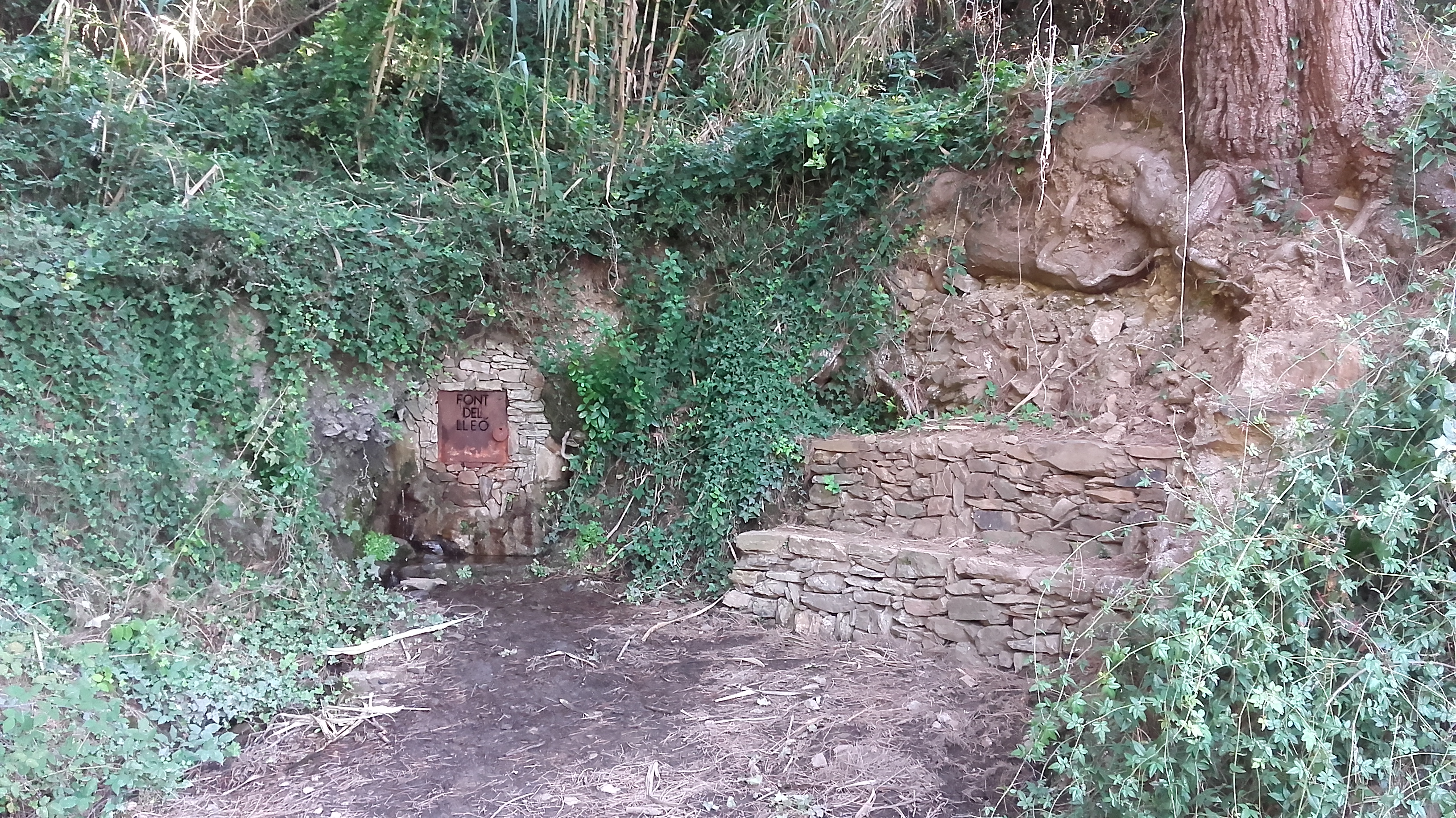 Font del Lleó