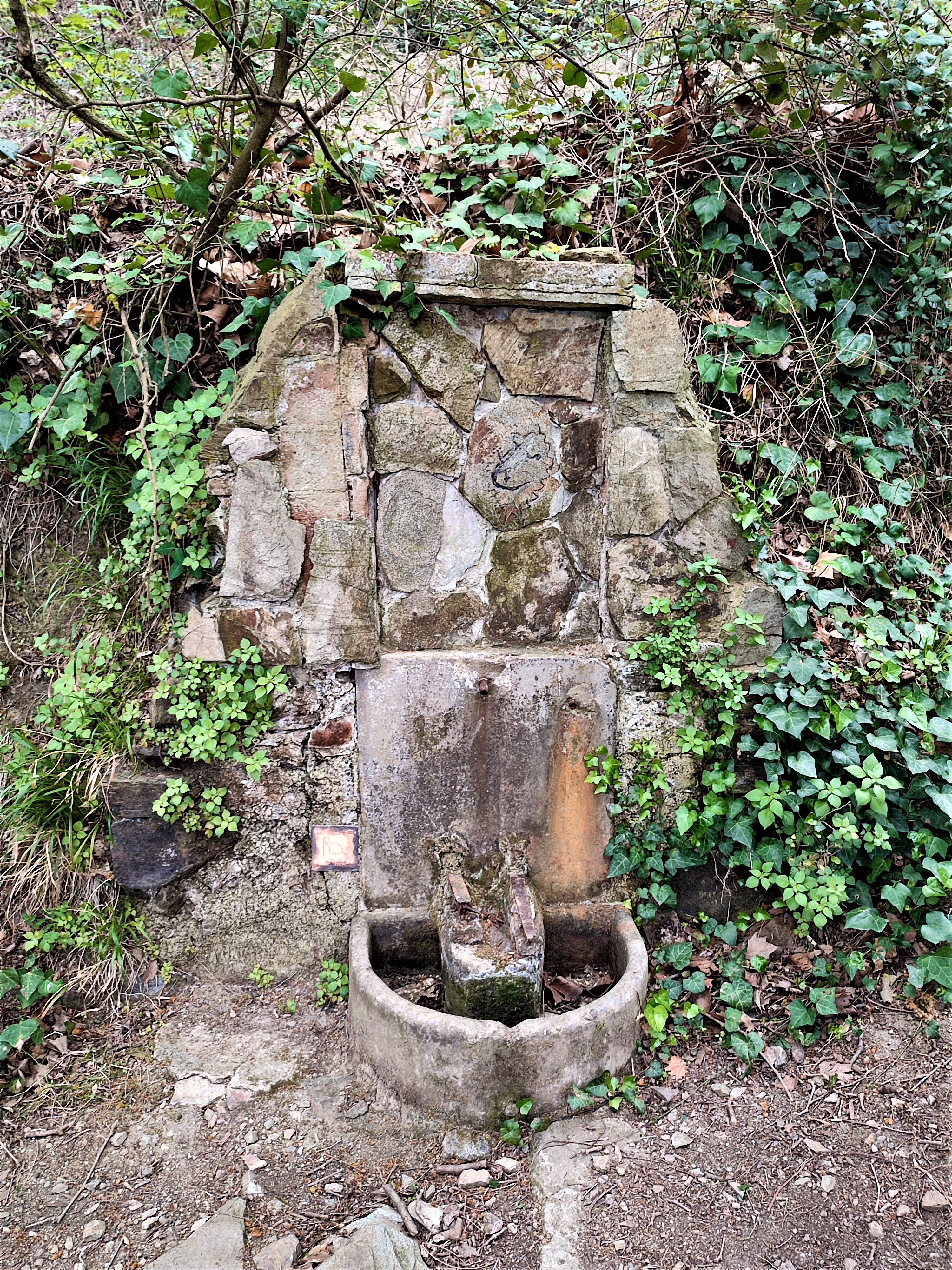 Font de la Salamandra