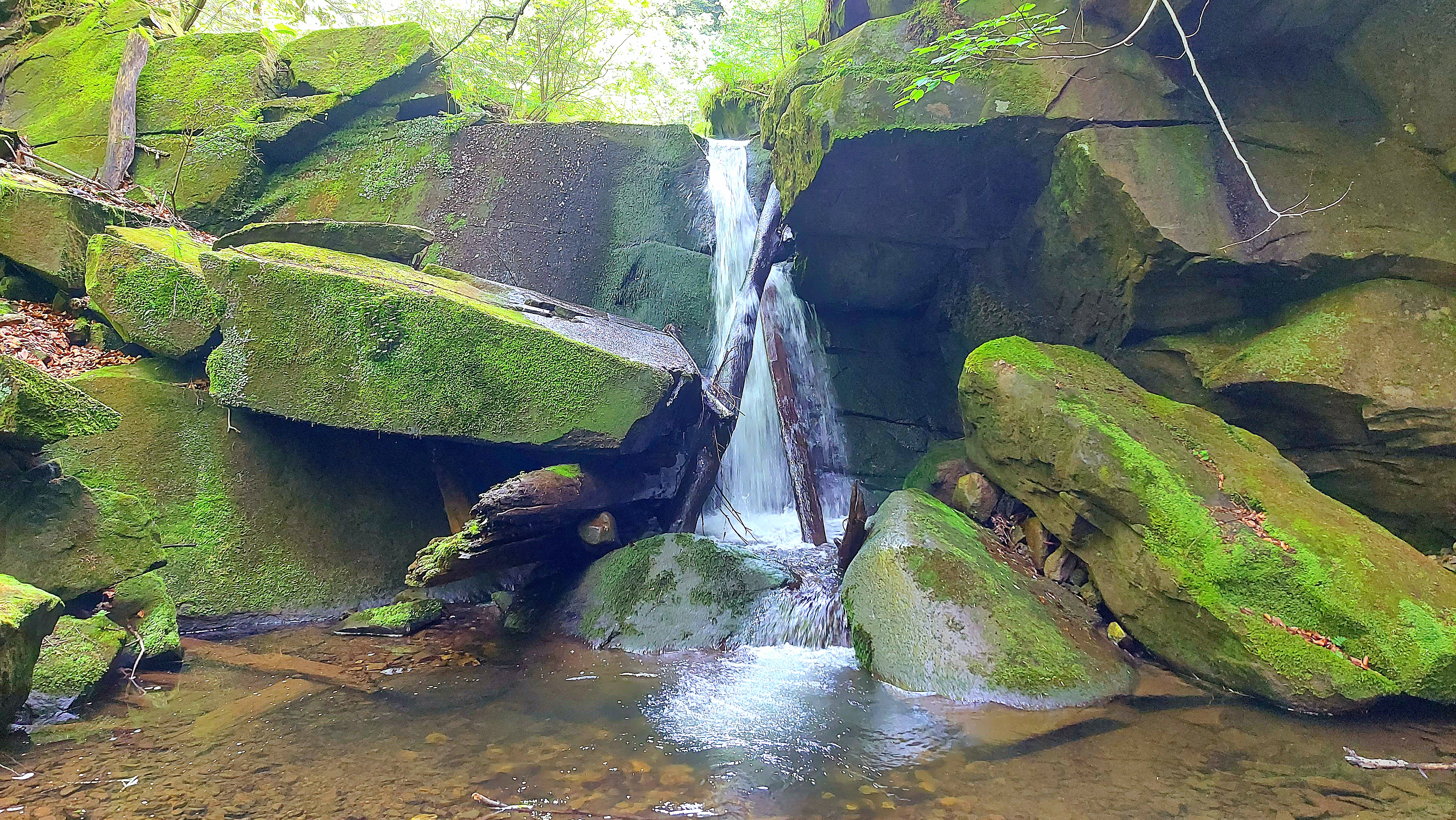 Дарваївські водоспади