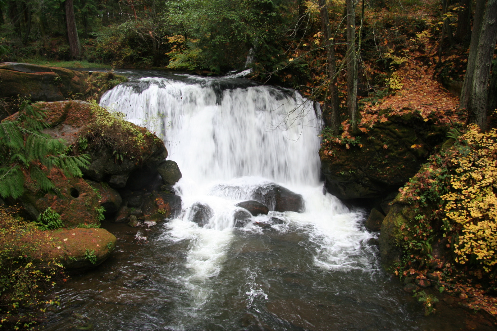 Whirlpool Falls