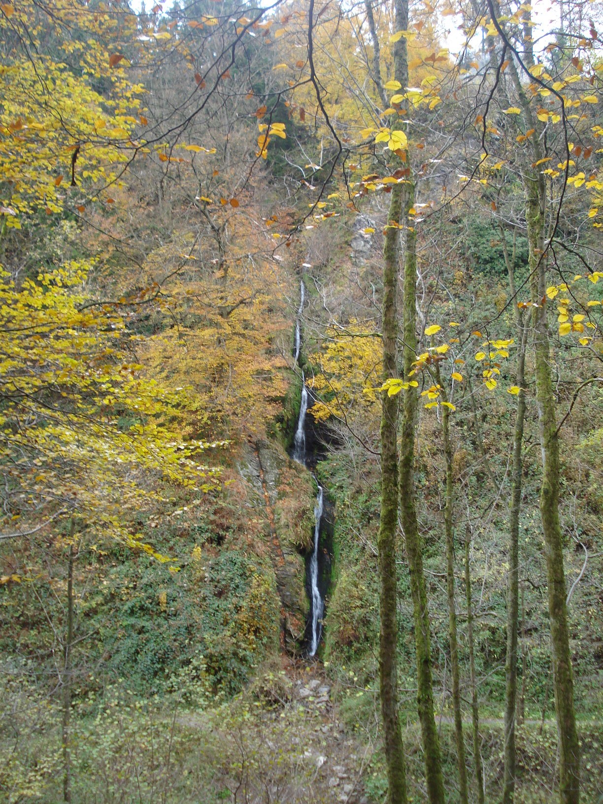 Cascade de Reinhardstein