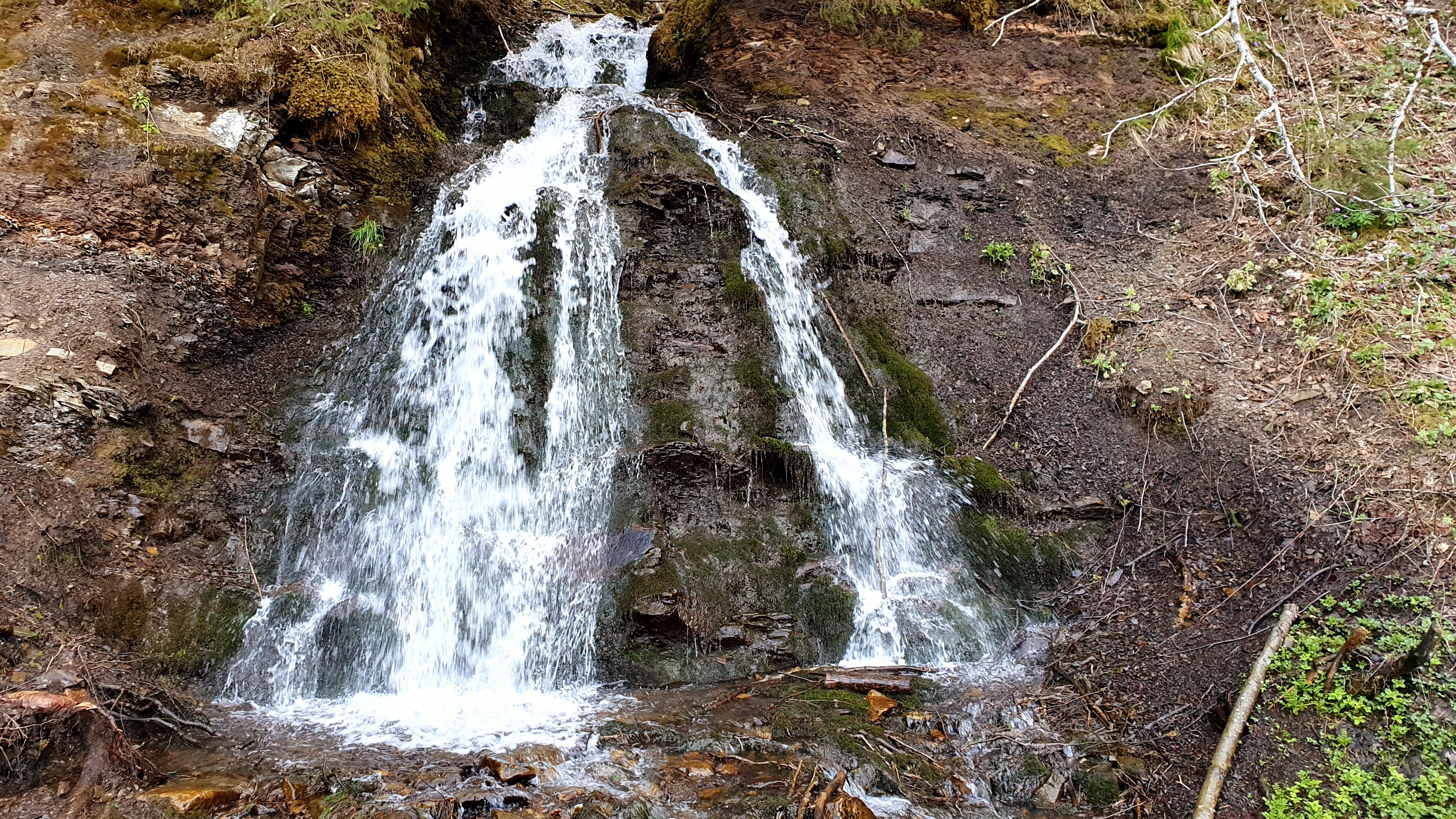 Салатручіль