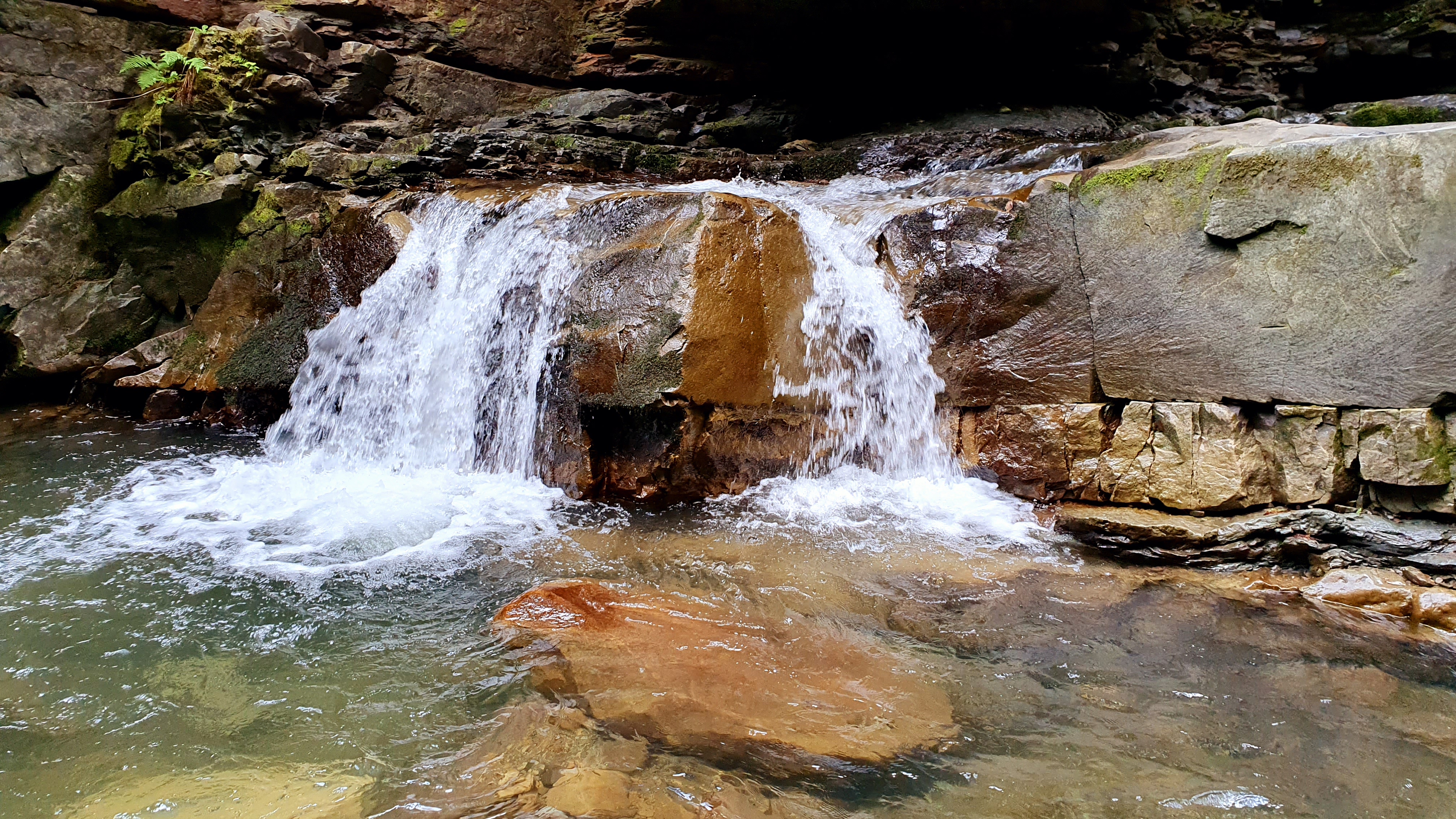 Дівочі Сльози