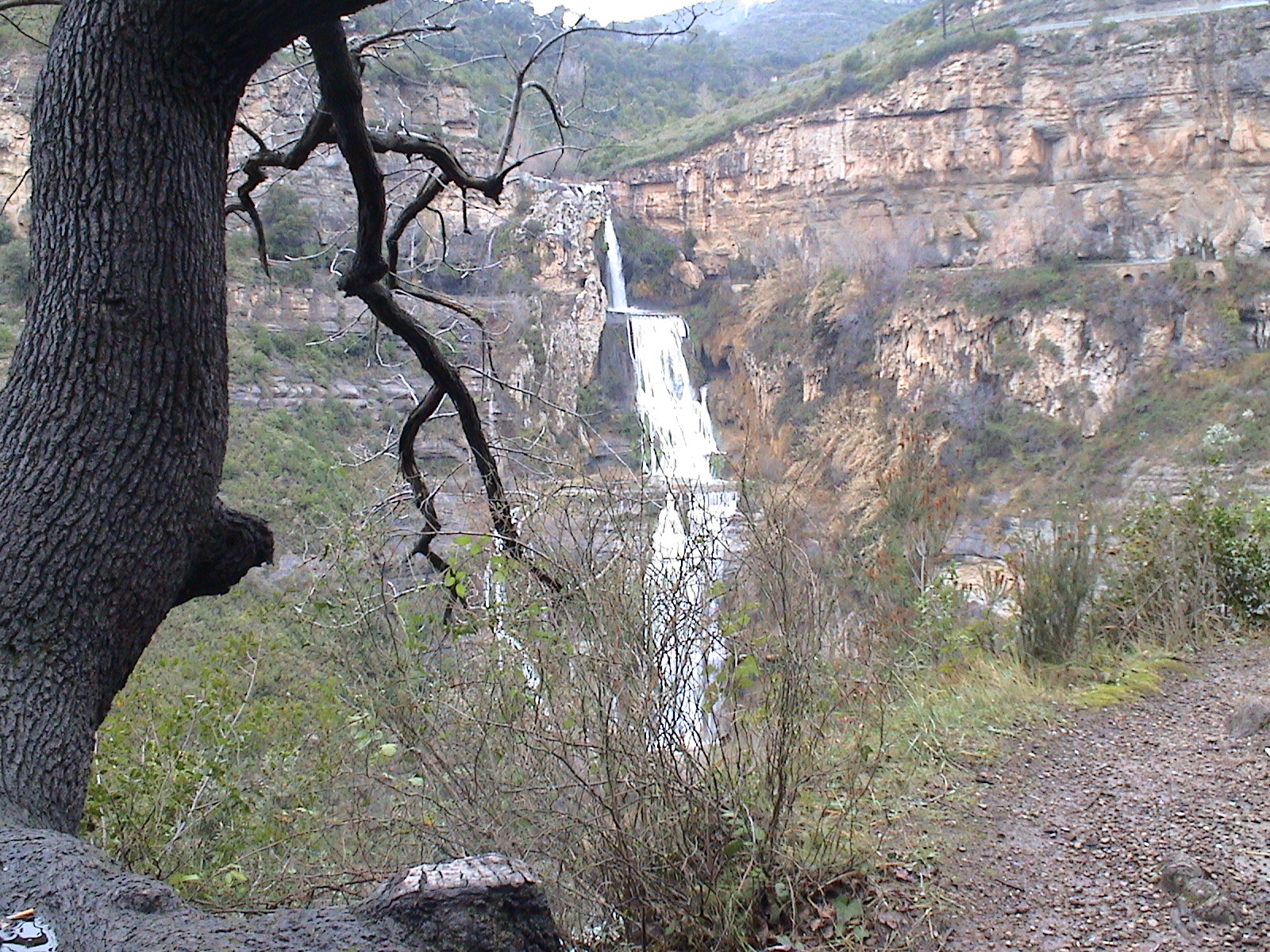 Salt d'aigua del Tenes