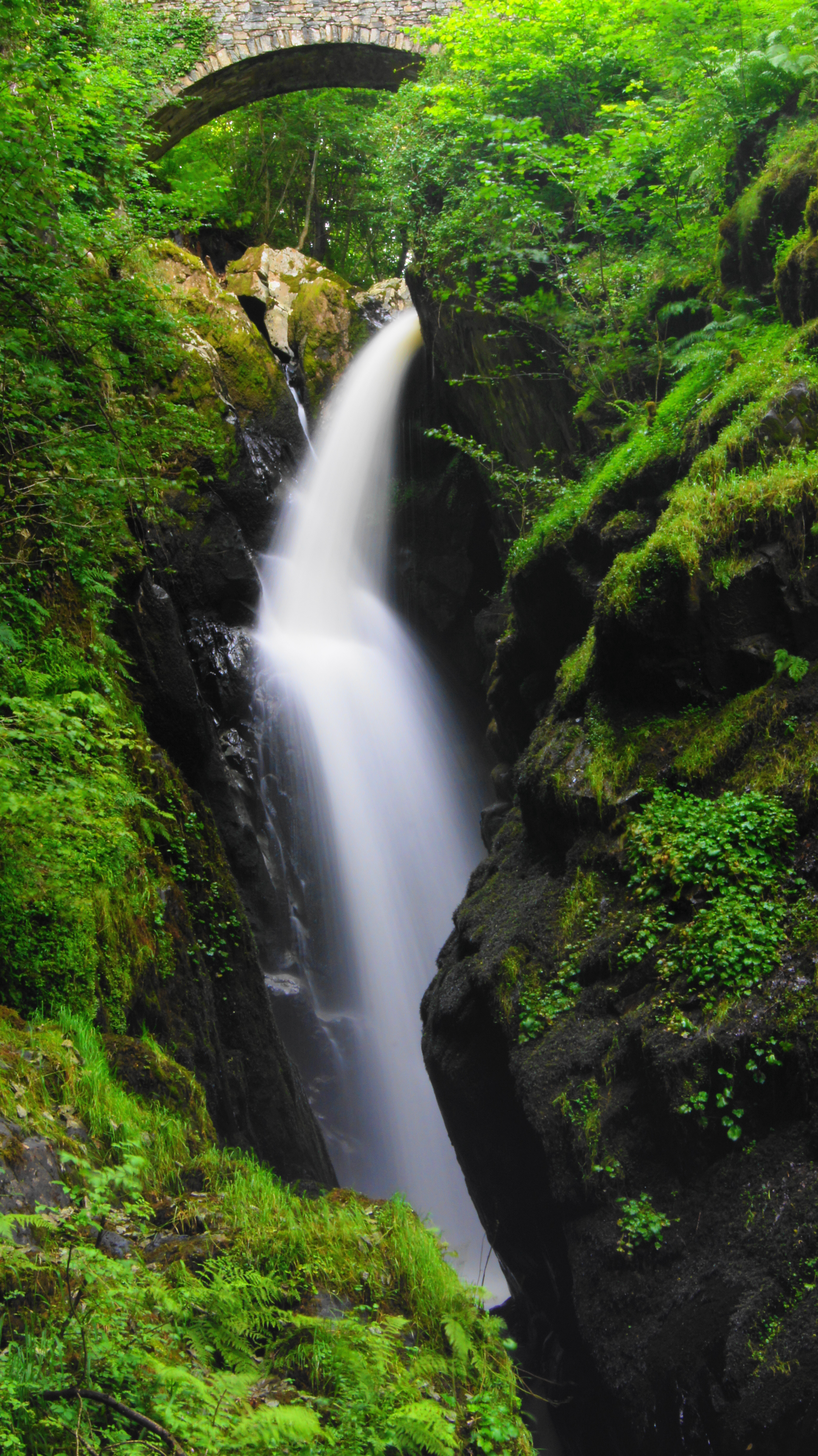 Aira Force