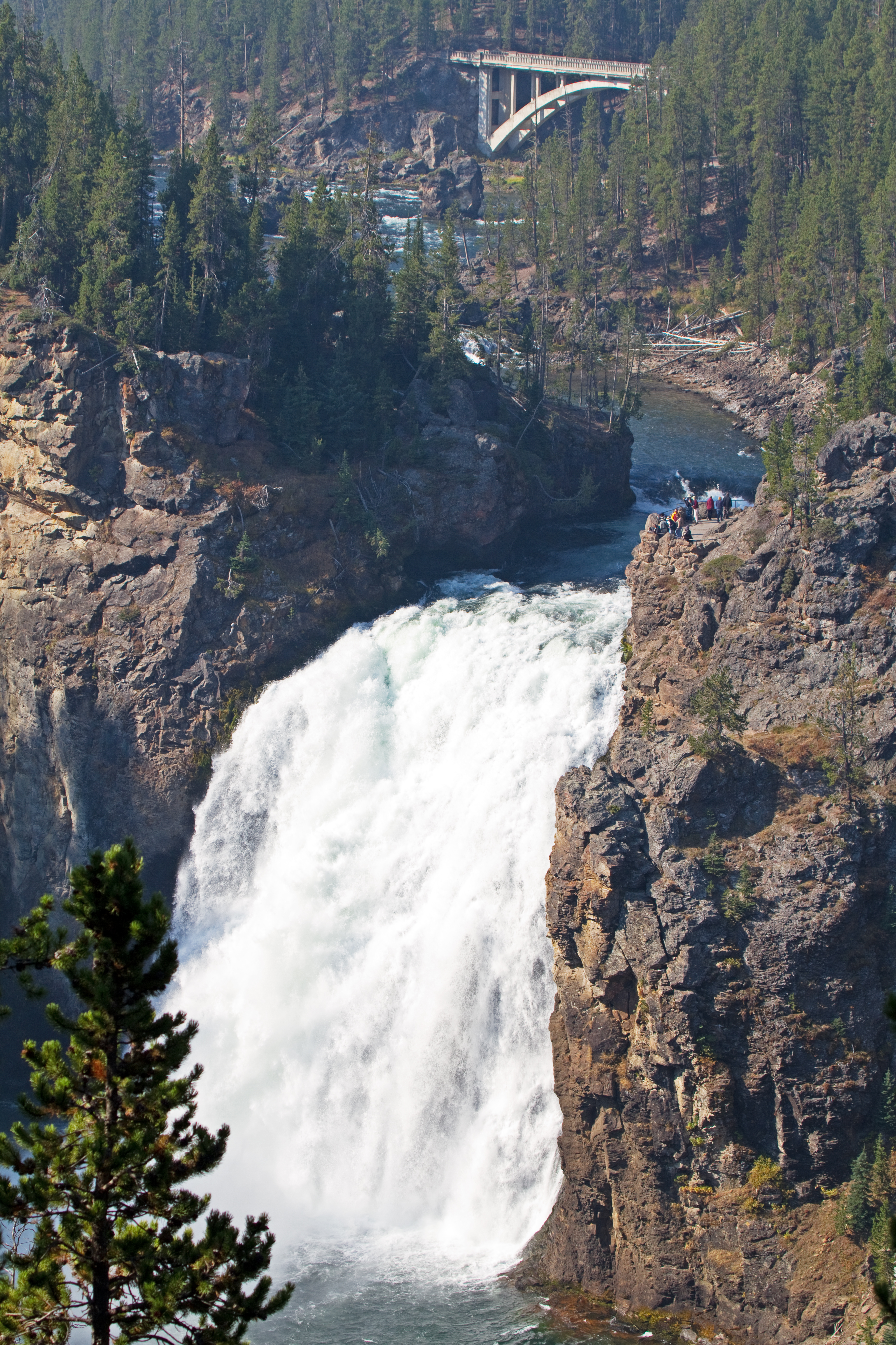 Lower Yellowstone Falls