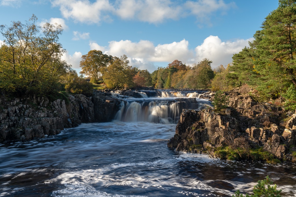 Low Force