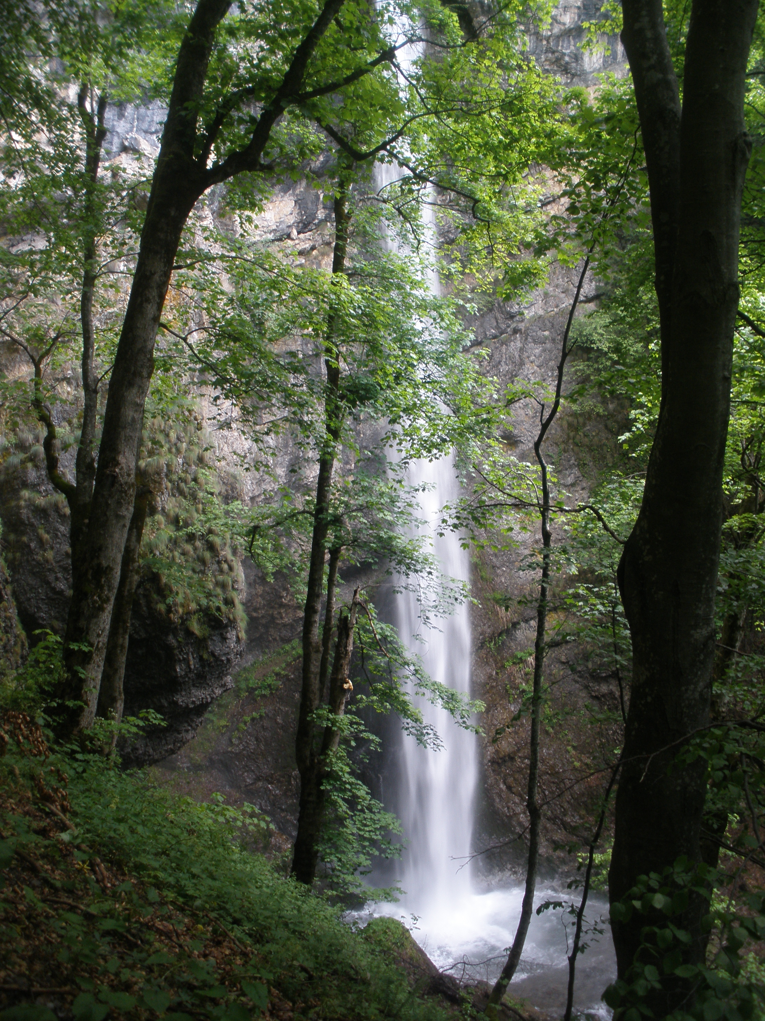 Сувчарско пръскало
