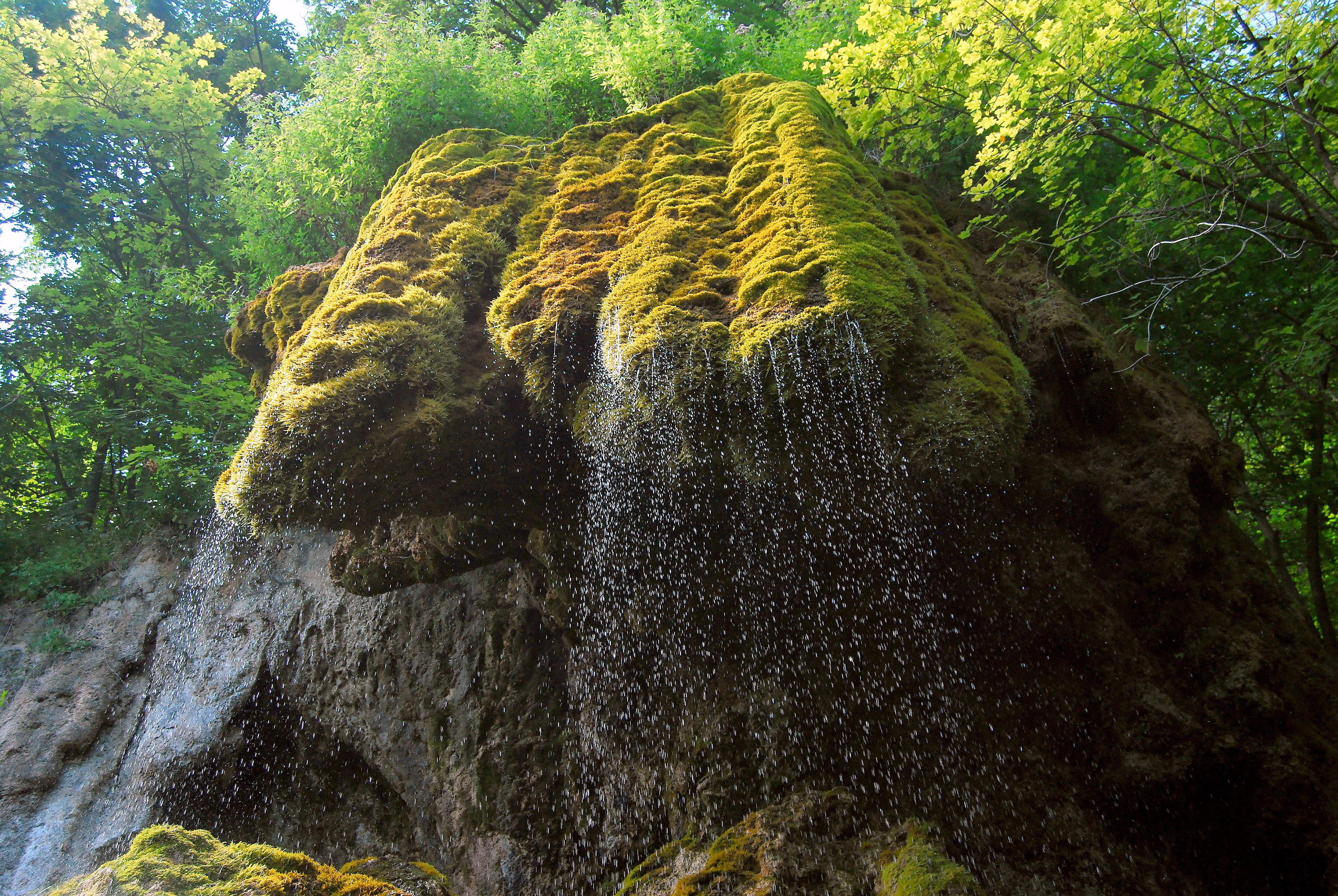 Дівочі сльози