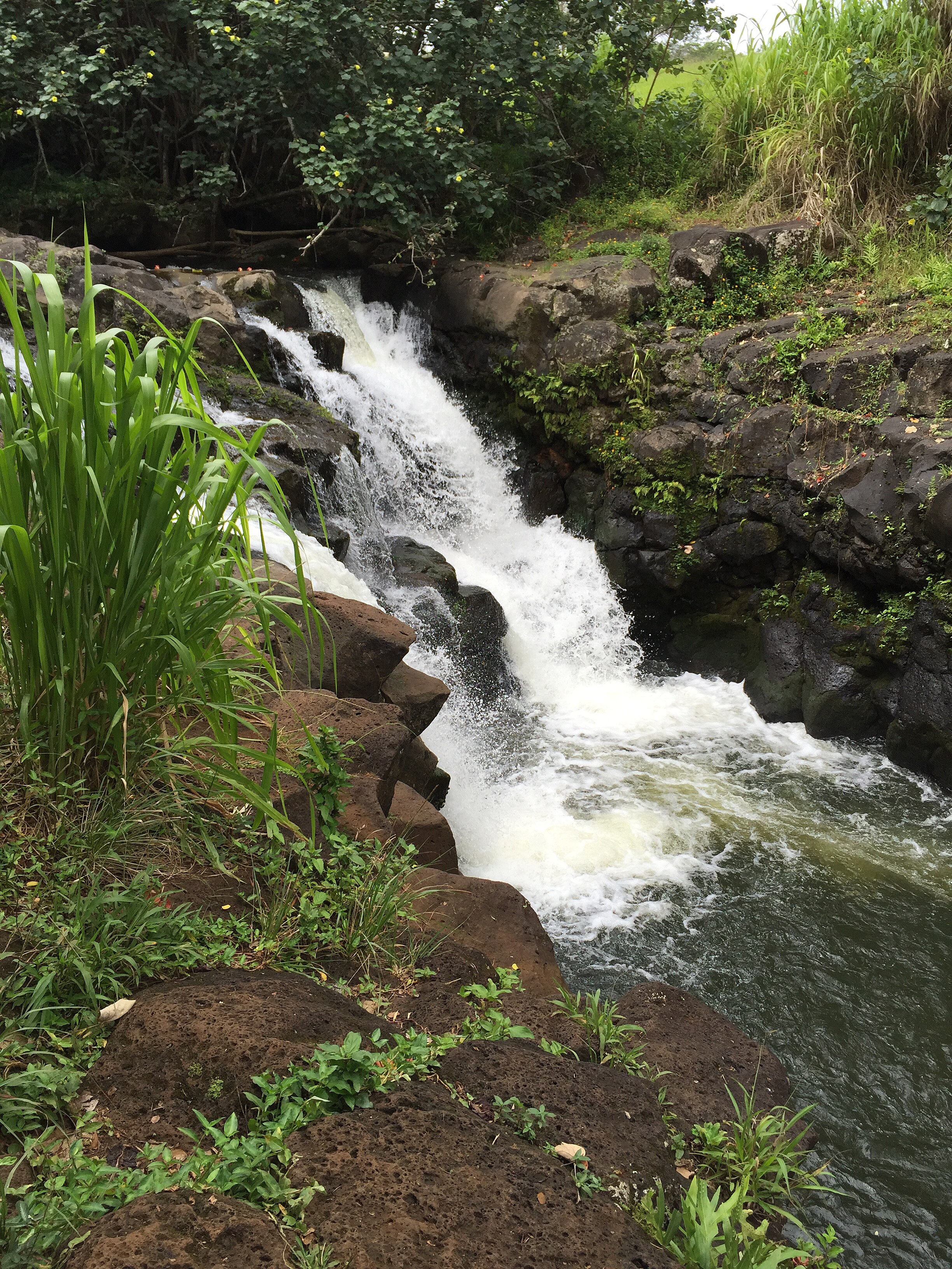 Hoʻopiʻi Falls