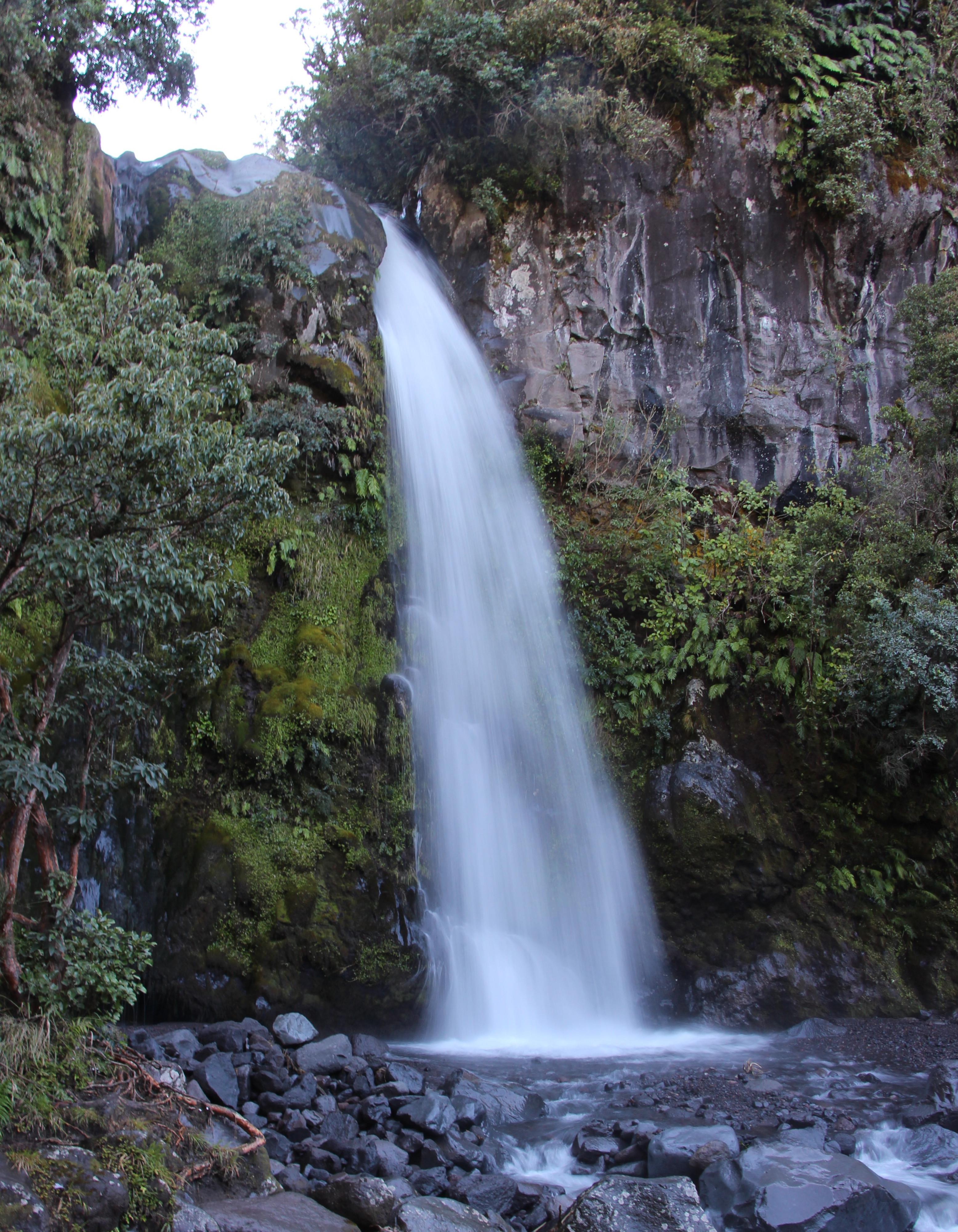 Dawson Falls / Te Rere o Kapuni
