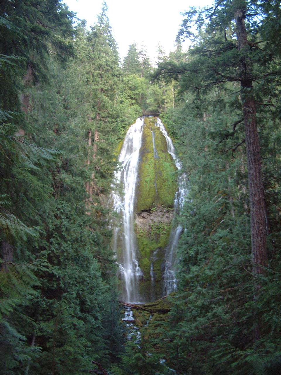 Proxy Falls
