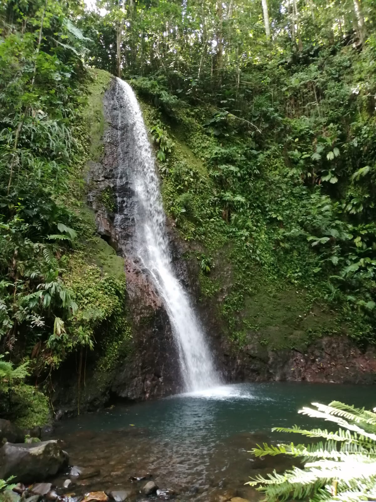 Cascade de Bois Bananes