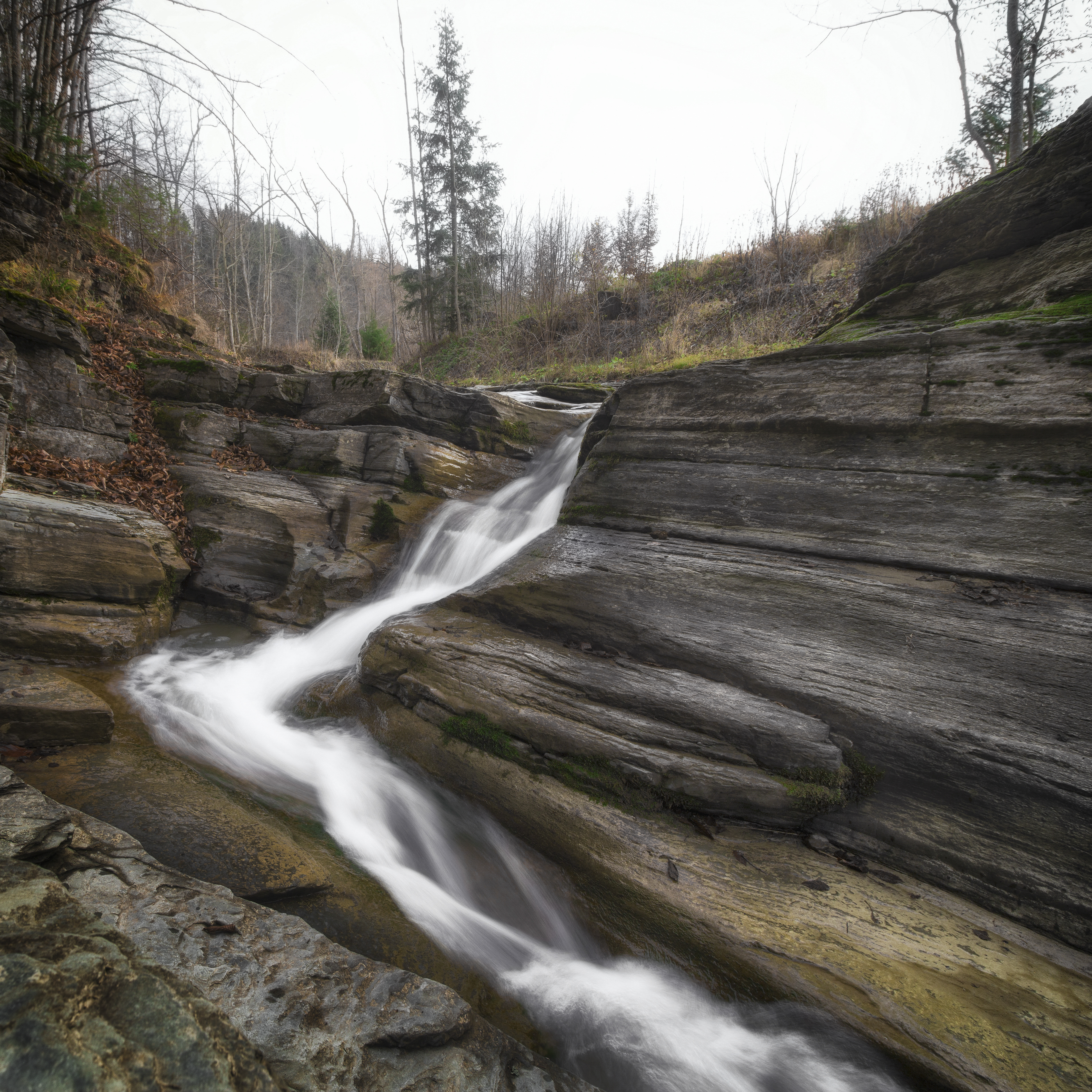 Королівський