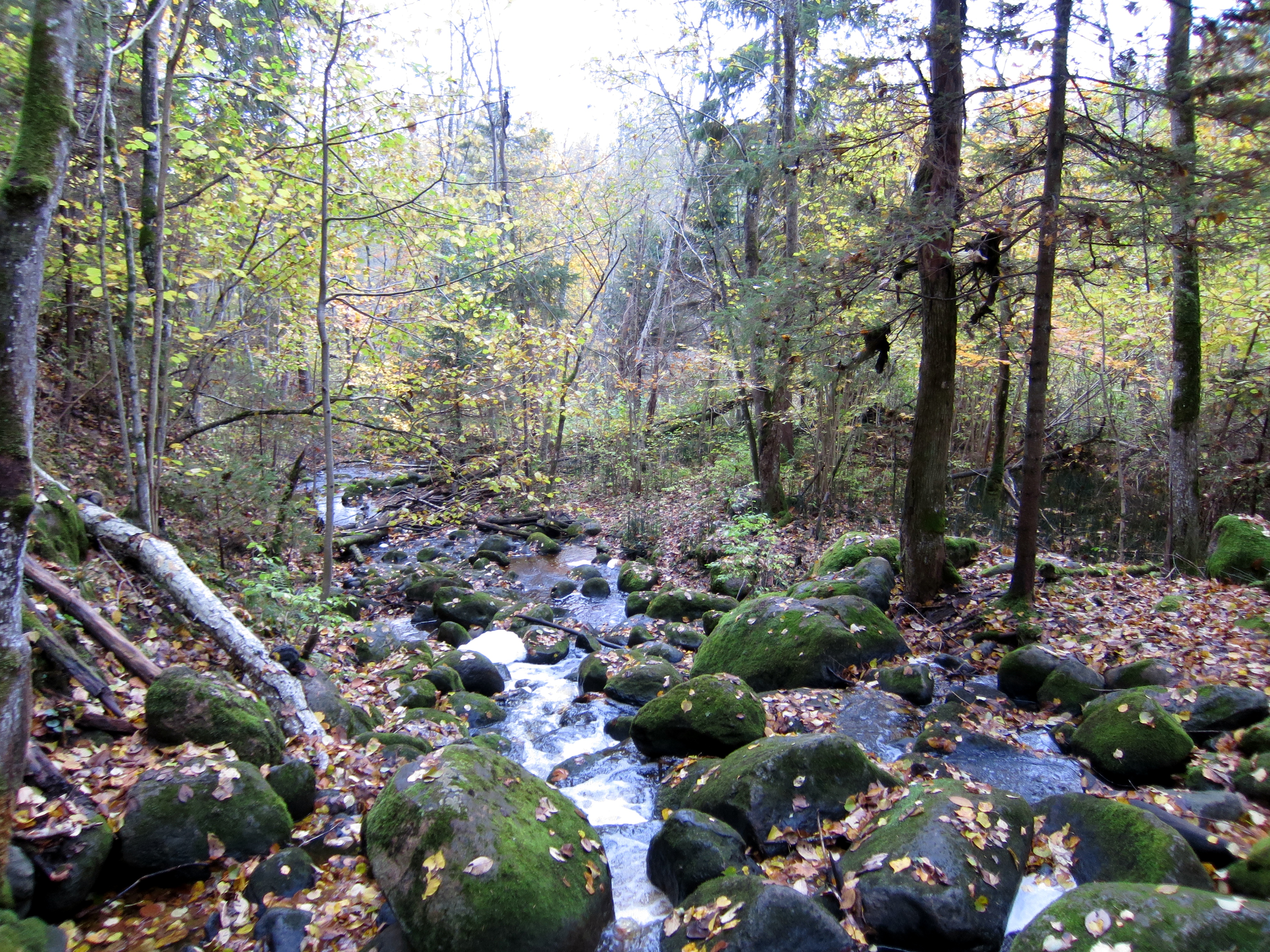 Akmeņupītes ūdenskritums