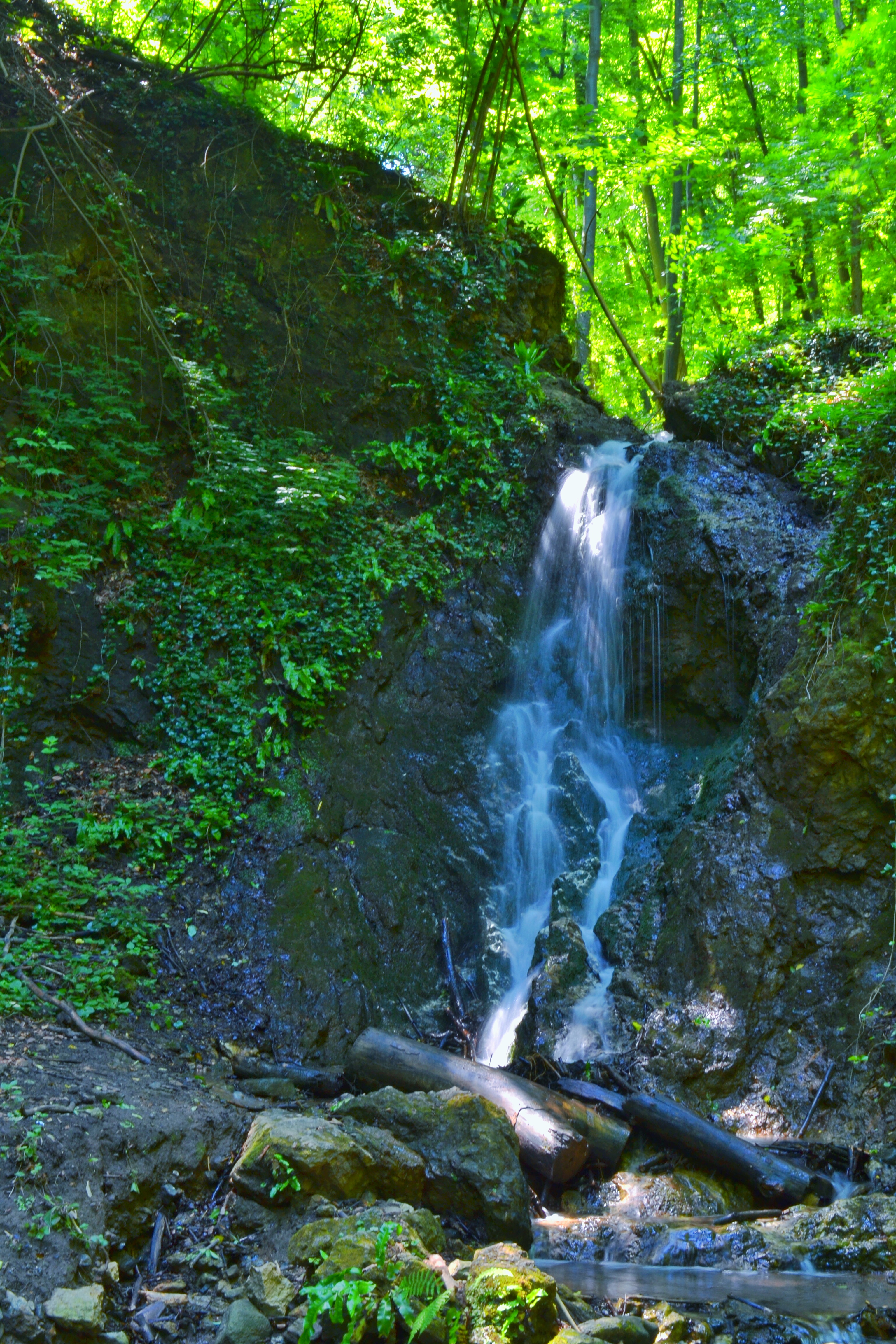 Думбовачки