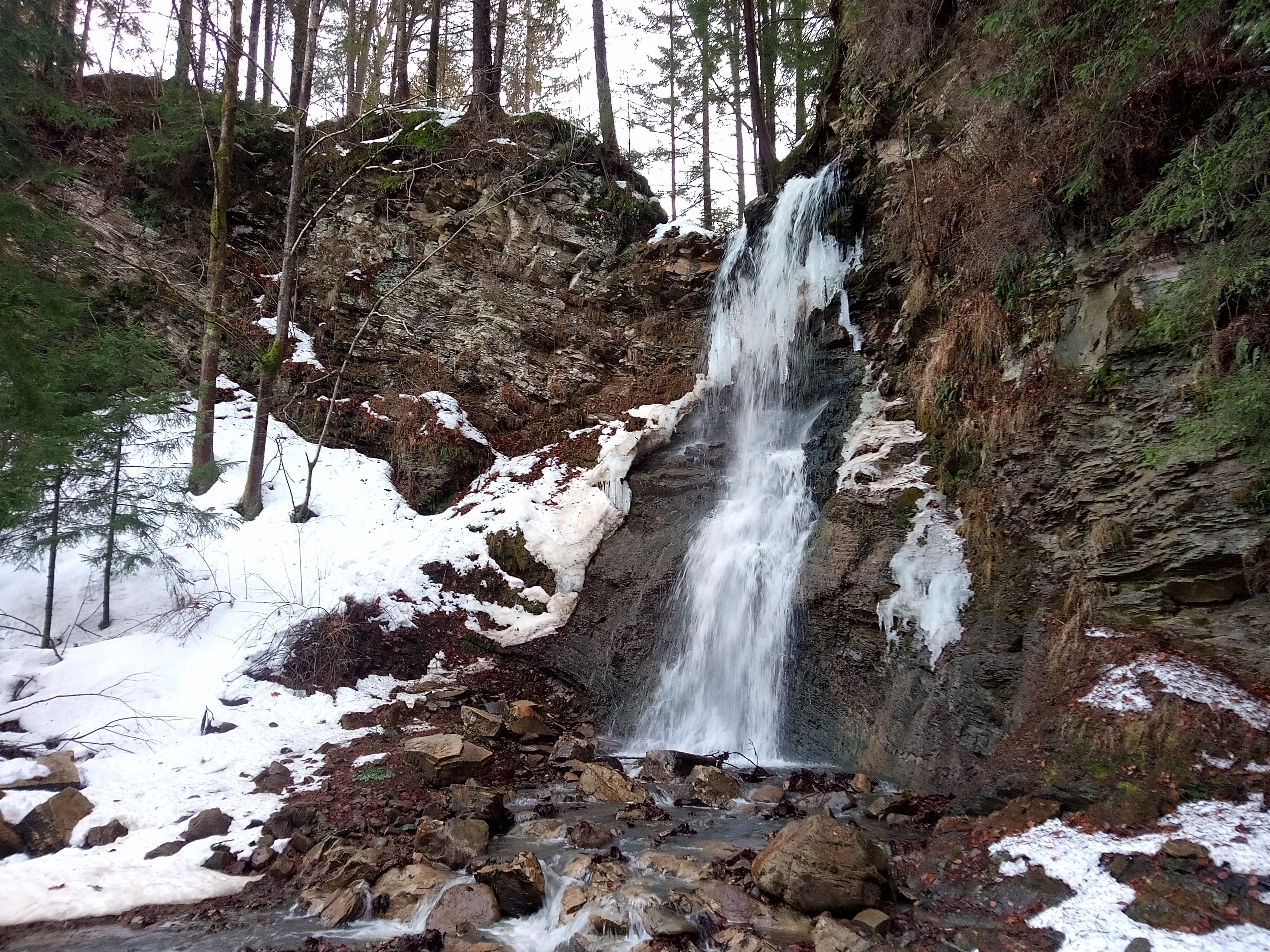 Шепітсько-Брустурський Гук