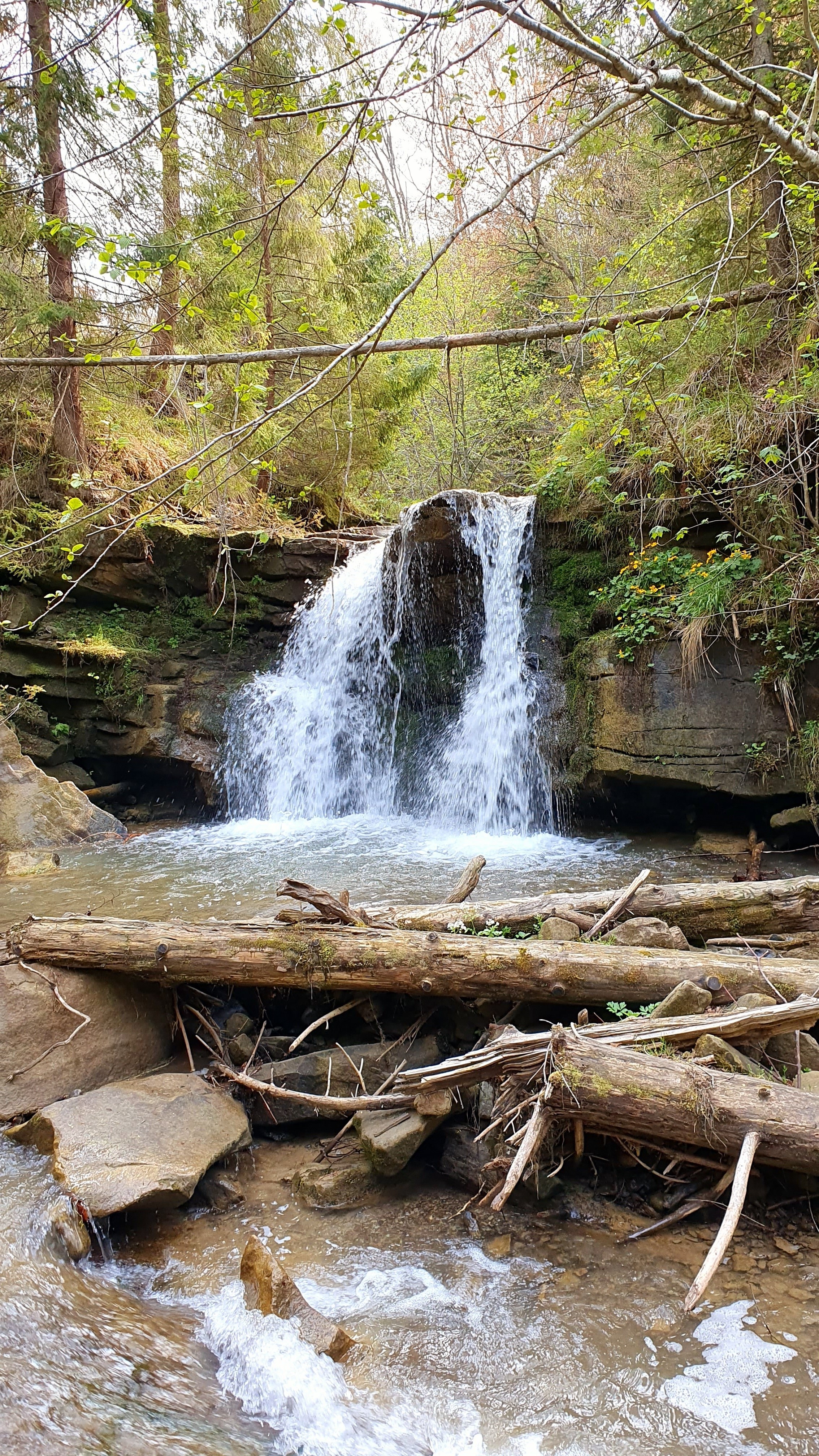 Козачі Сльози