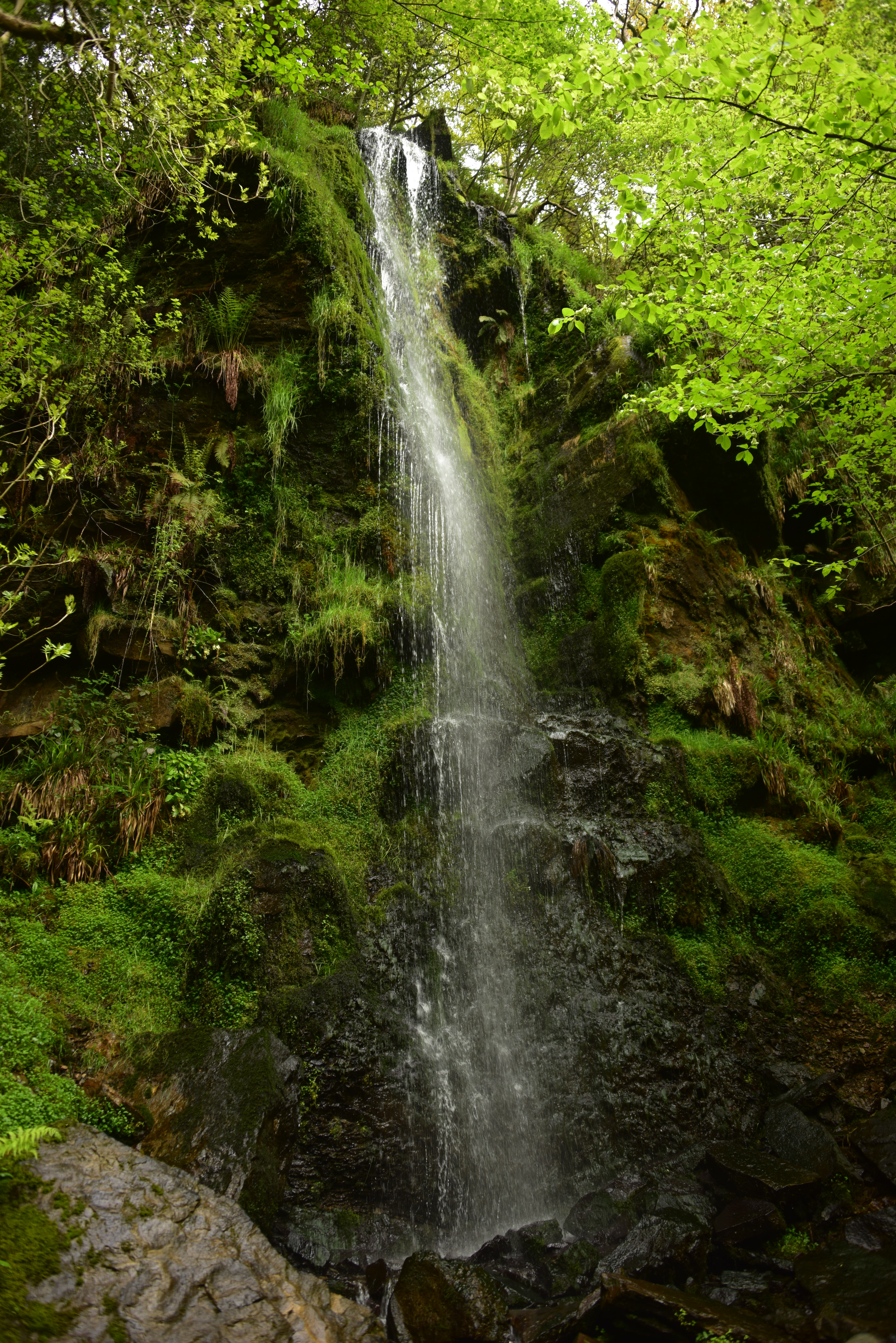 Mallyan Spout